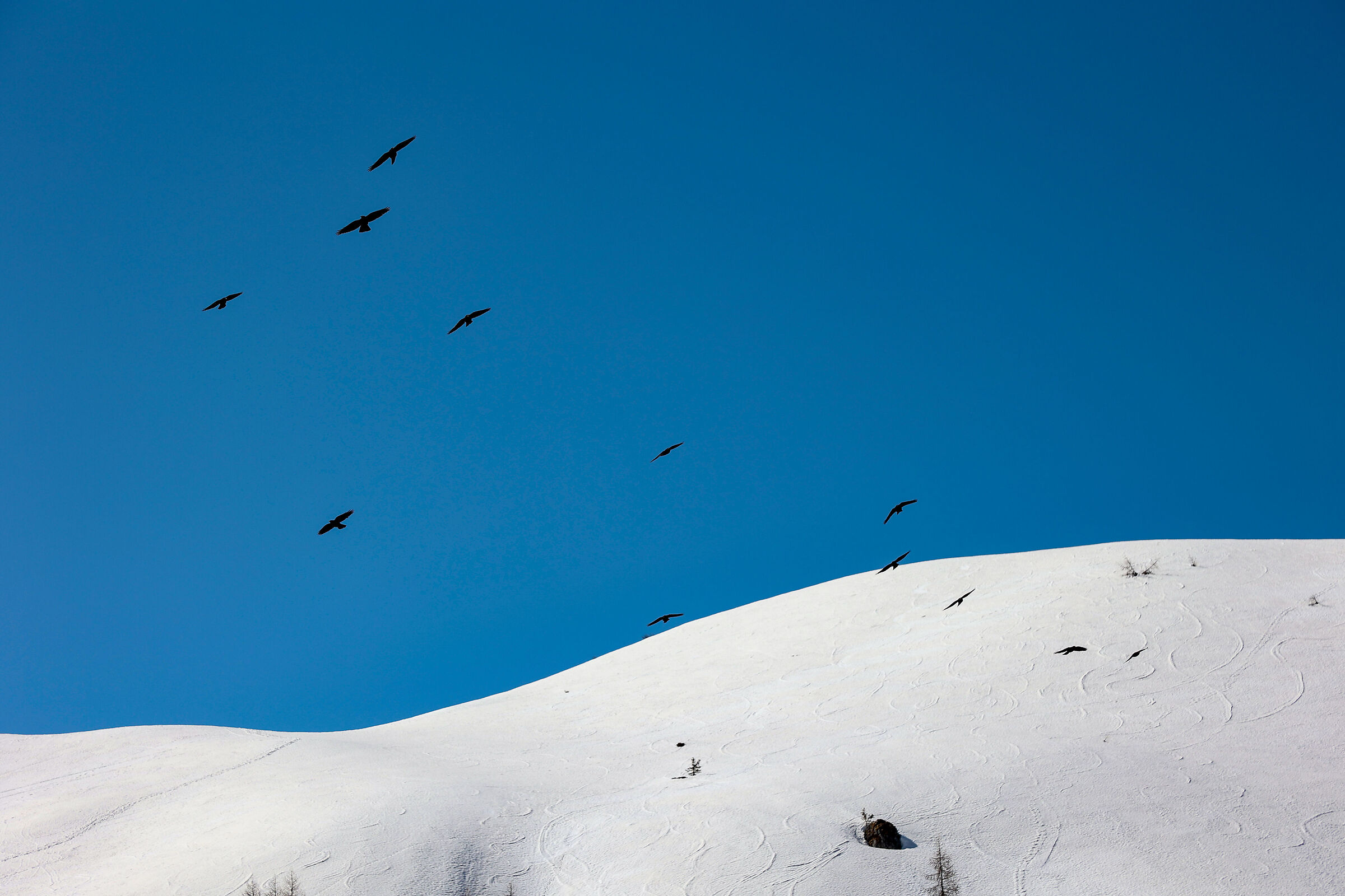 Dalle parti di passo Giau
