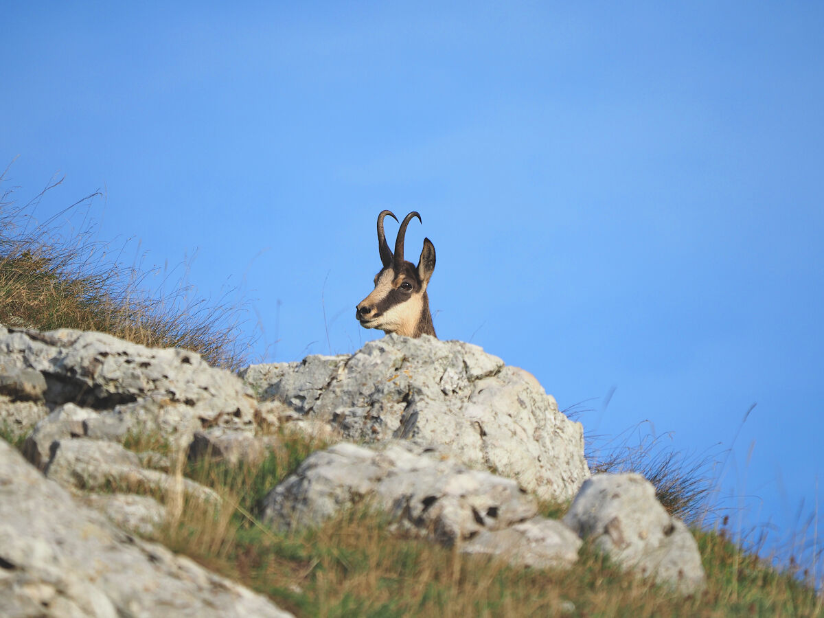 huh... I pretend I didn't see you!!!