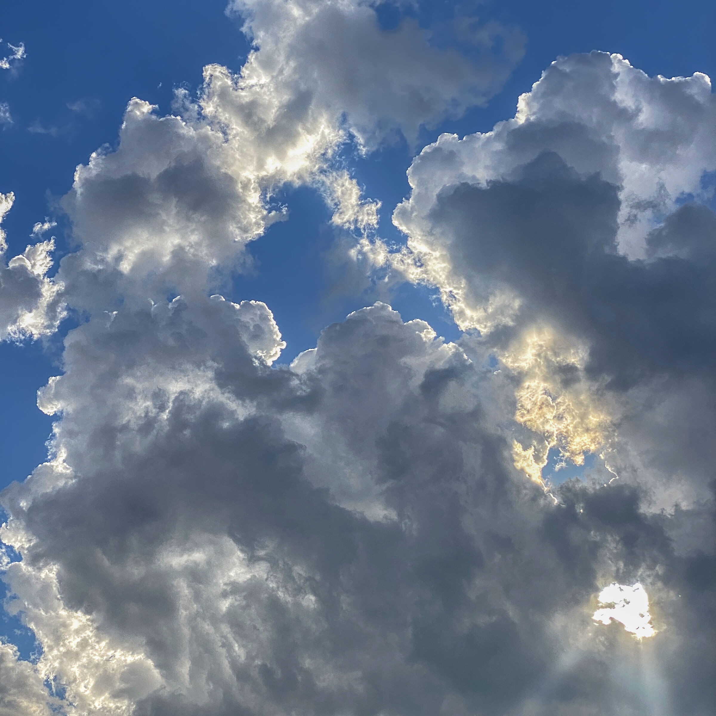 I go out to the terrace looking for the Moon, and instead