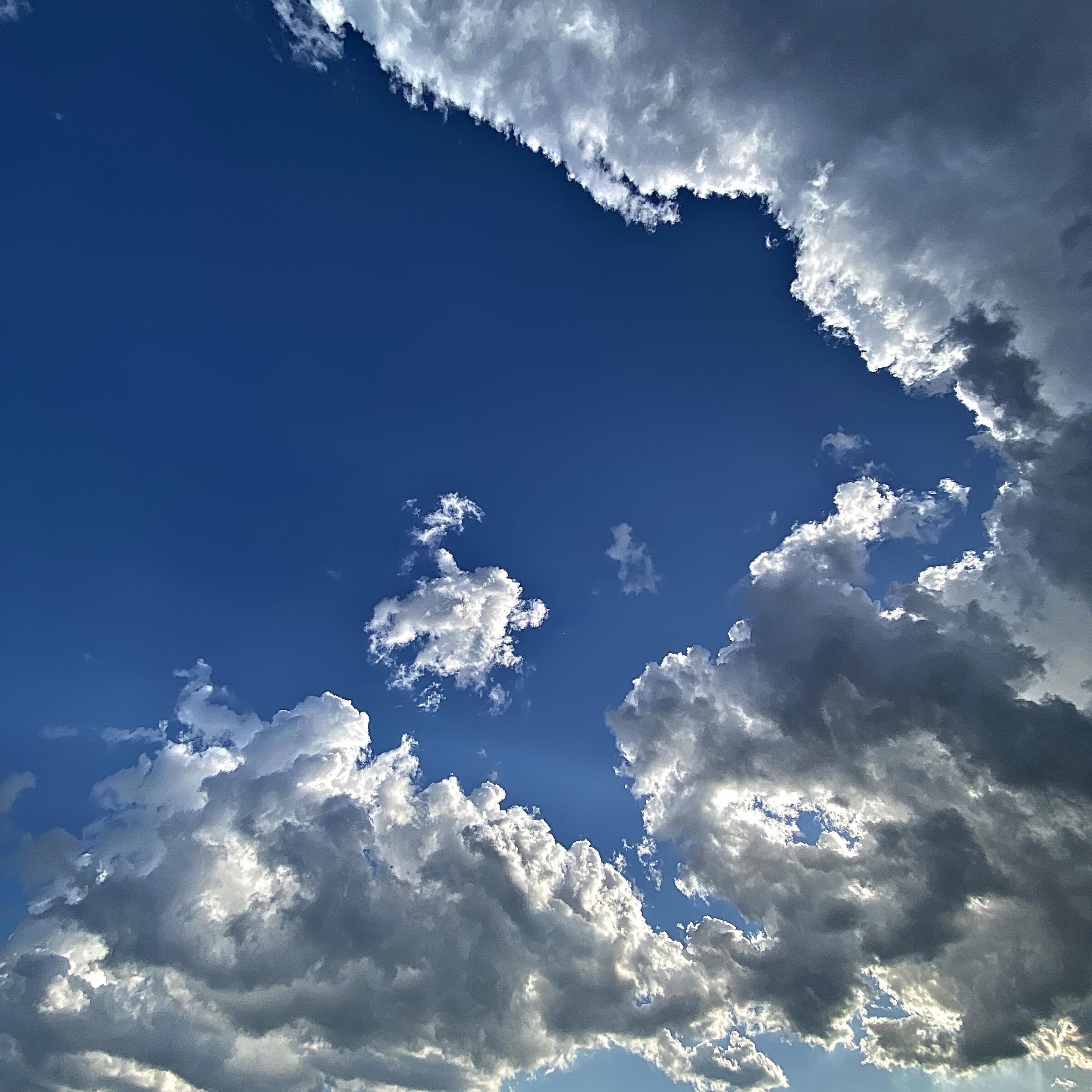 Esco in terrazza a cercare la Luna, e invece