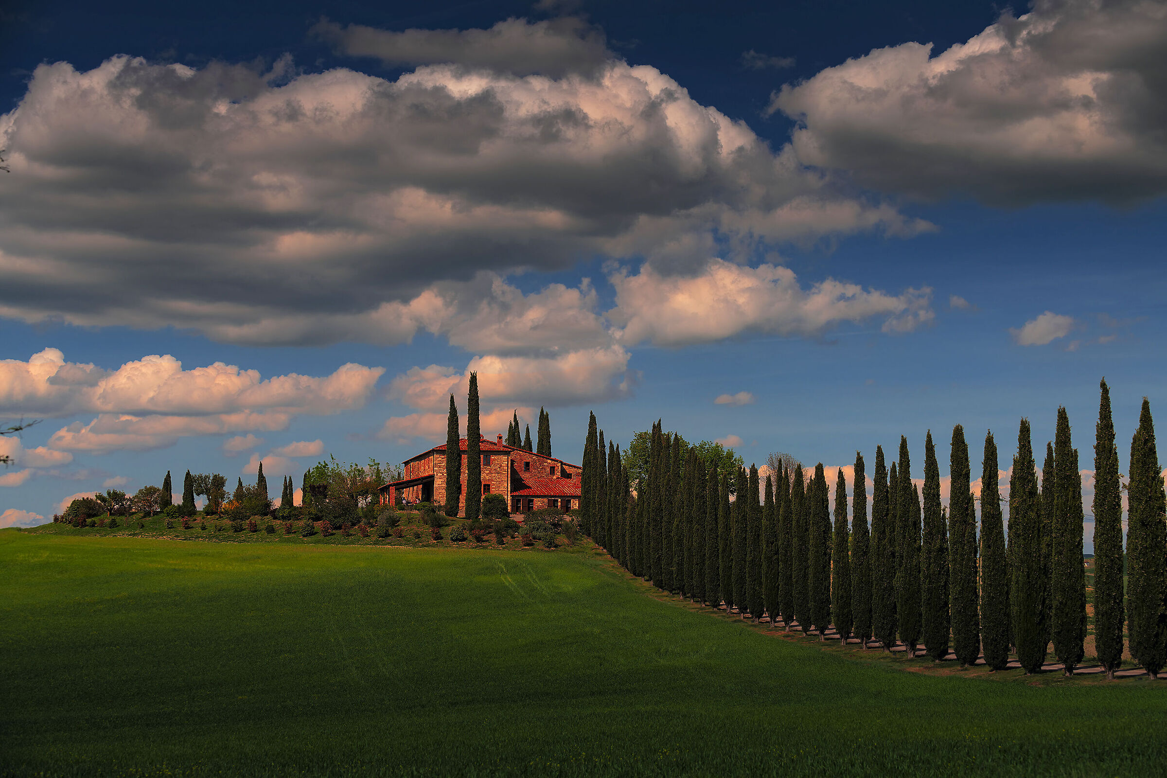 postcard from the Val d'Orcia... I'm fine in the cellar...