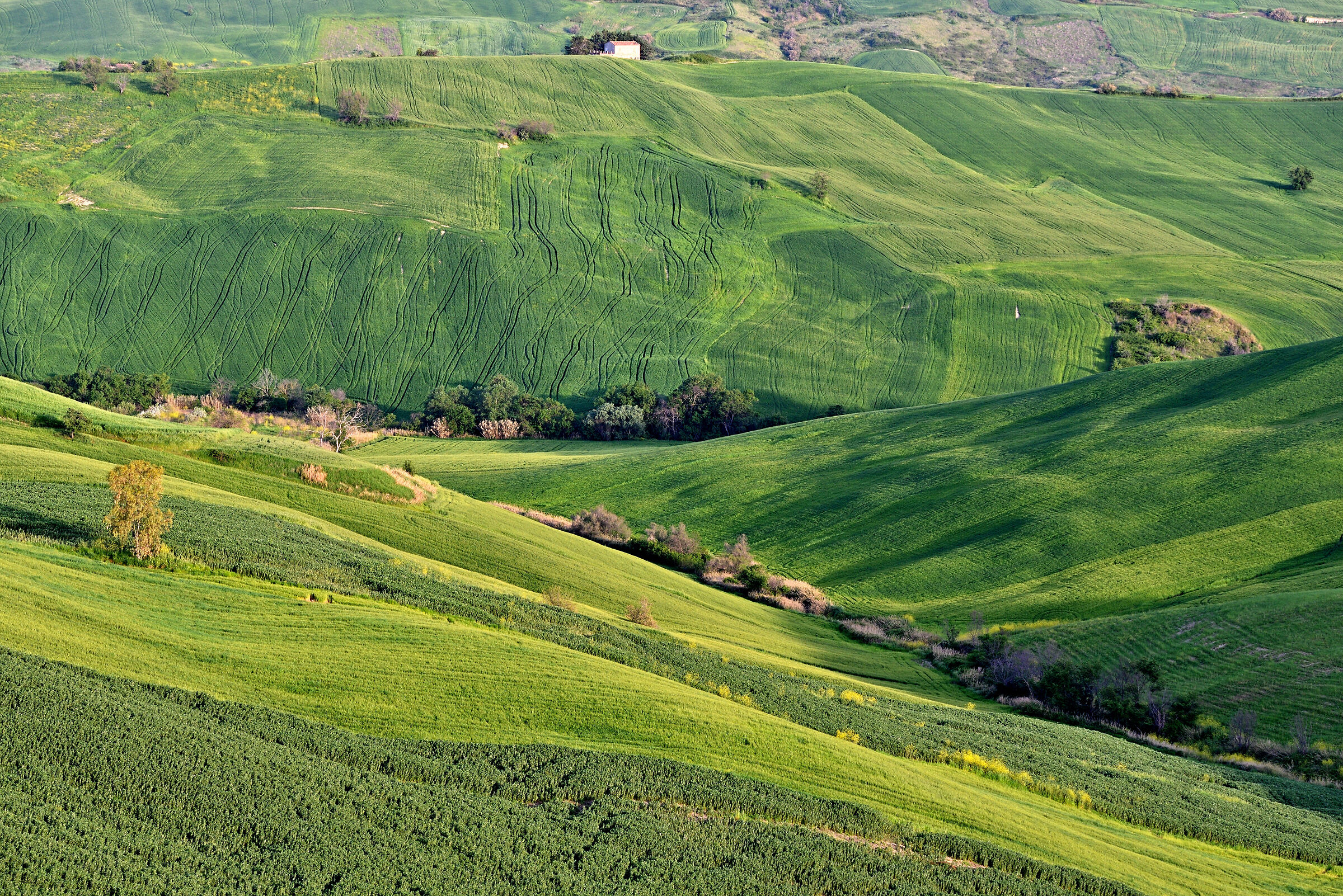 In completa solitudine