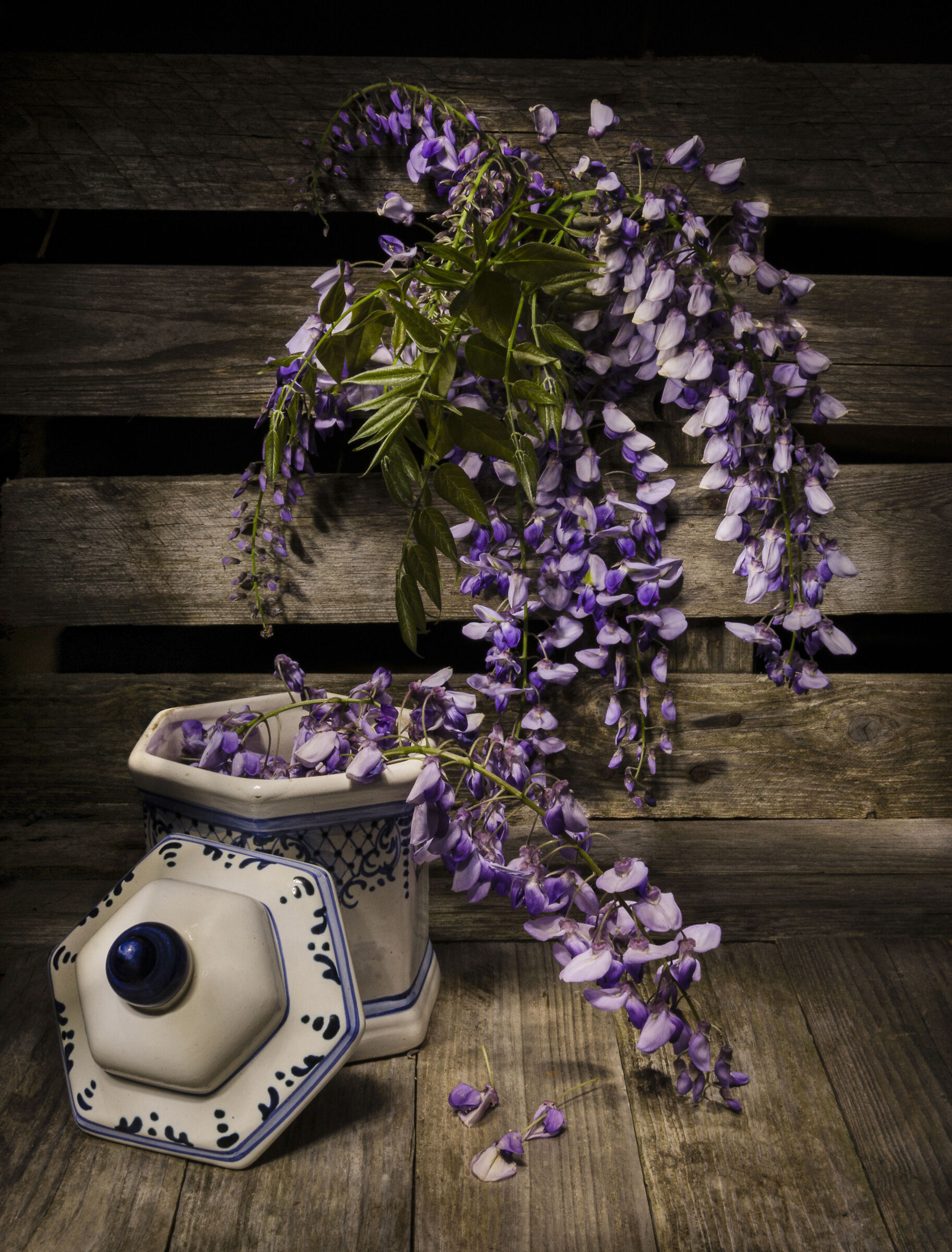 Fiori di glicine... light painting