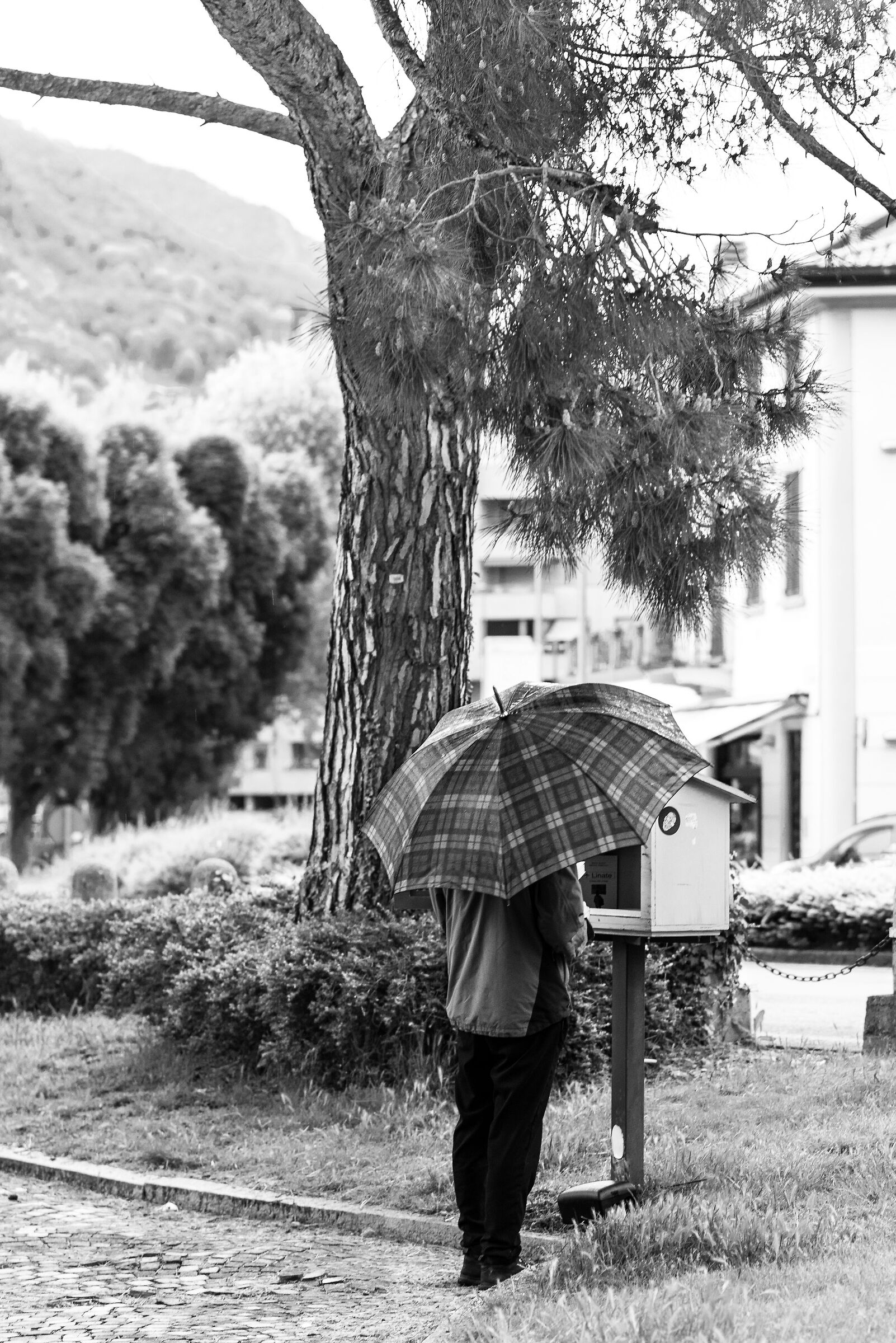 Choosing a Book in the Rain
