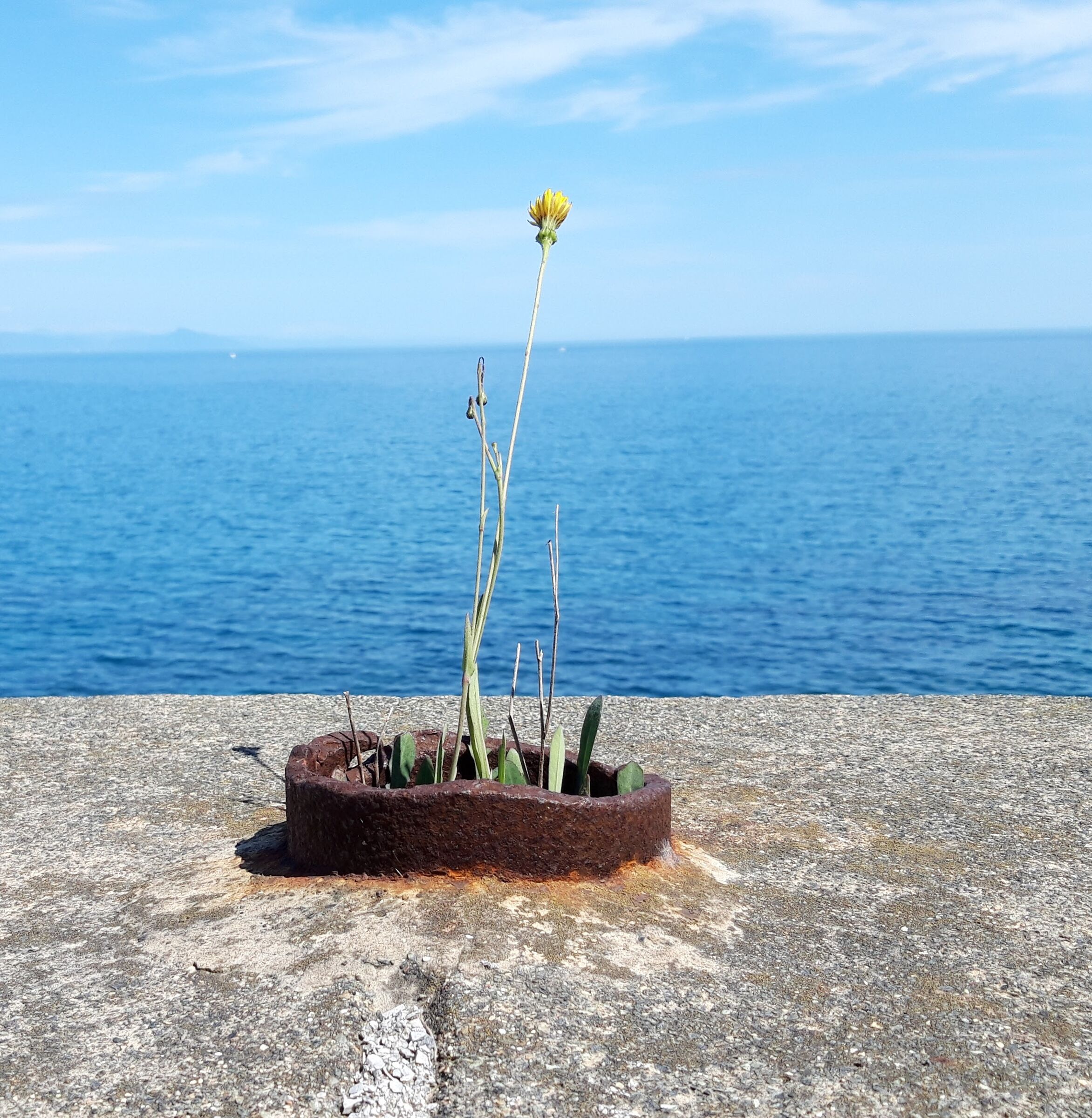 house overlooking the sea