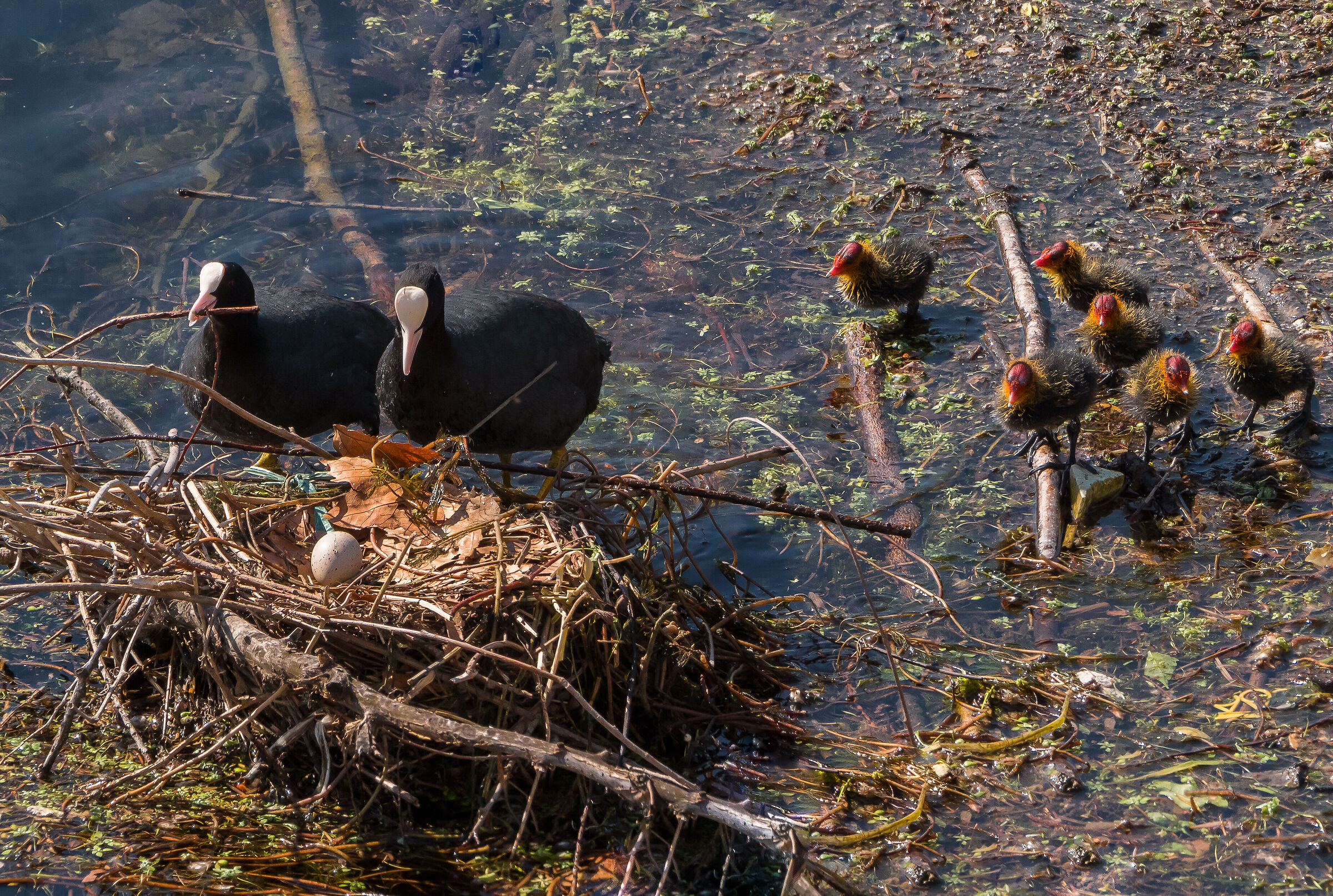 Anything wrong.......