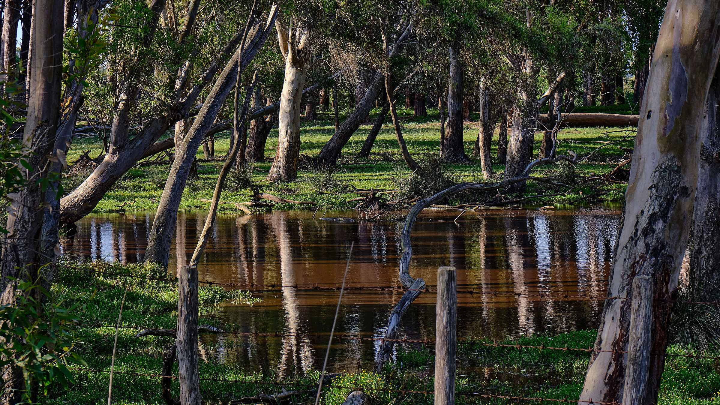 The landscape of Lake Fogliano