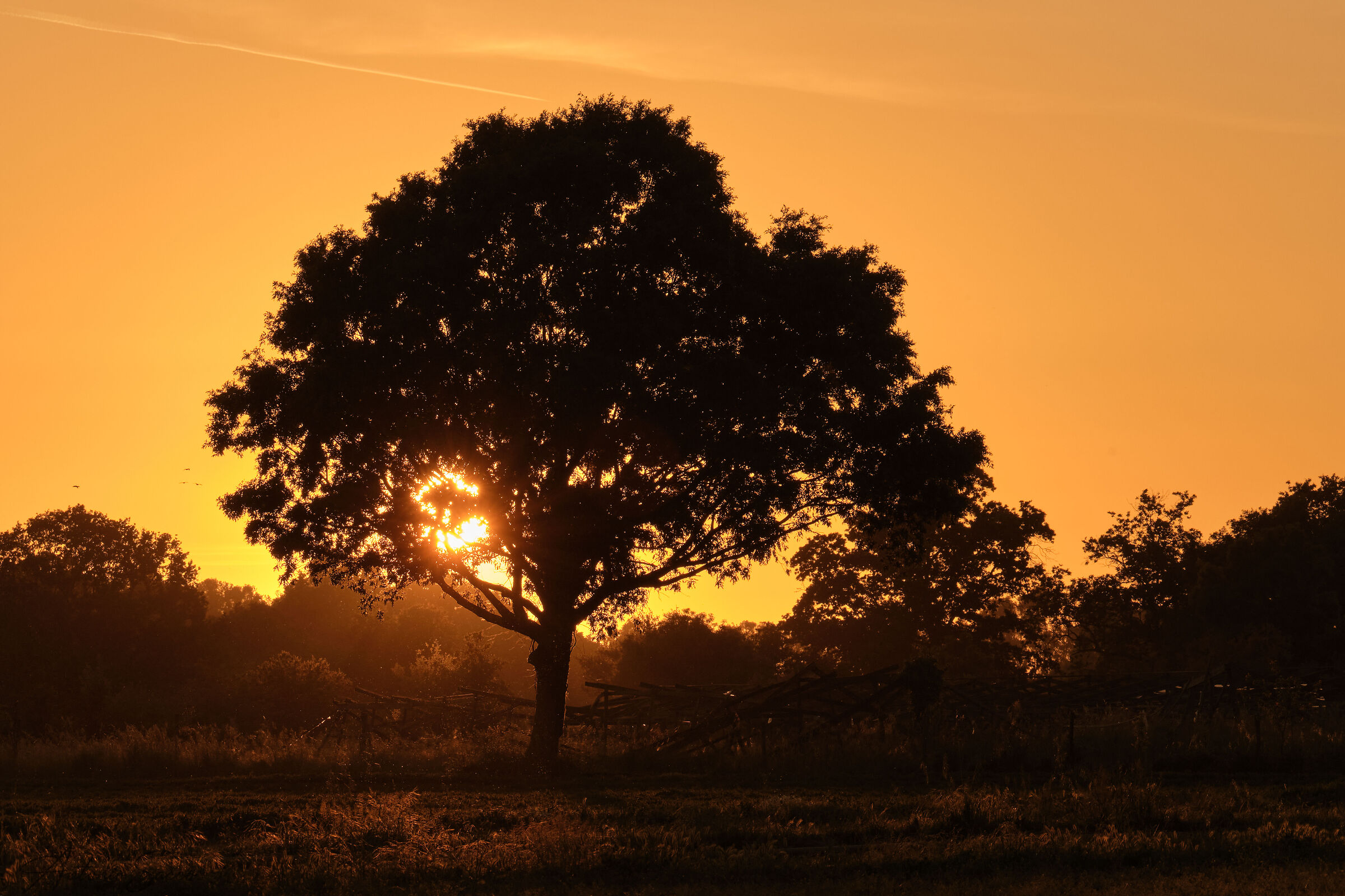 The landscape of Lake Fogliano