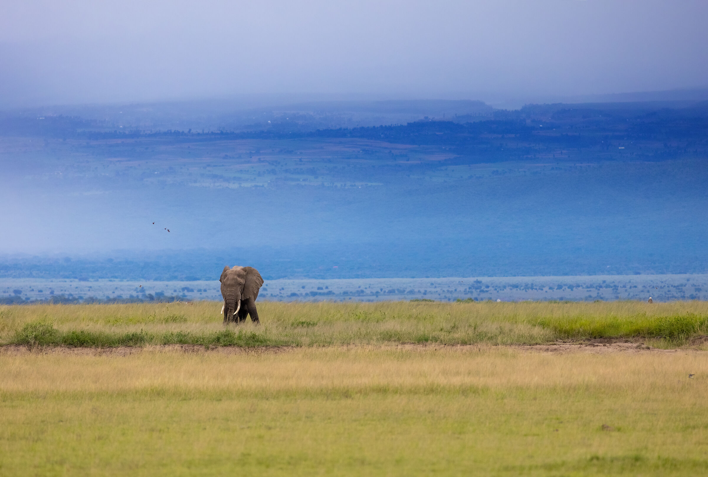 At the edge of the timeline