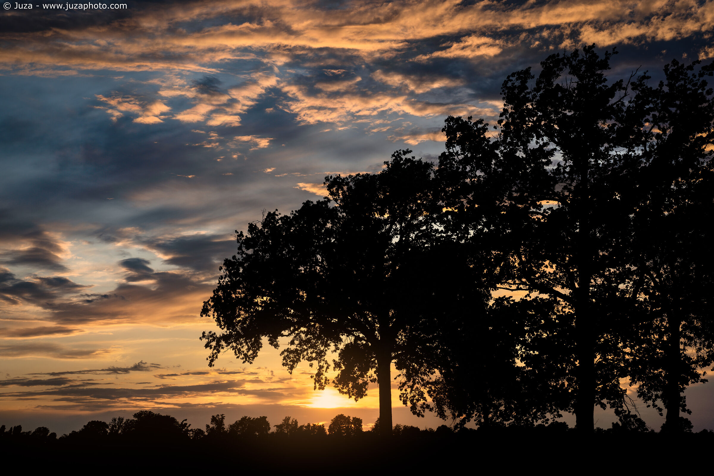 The splendor of a world