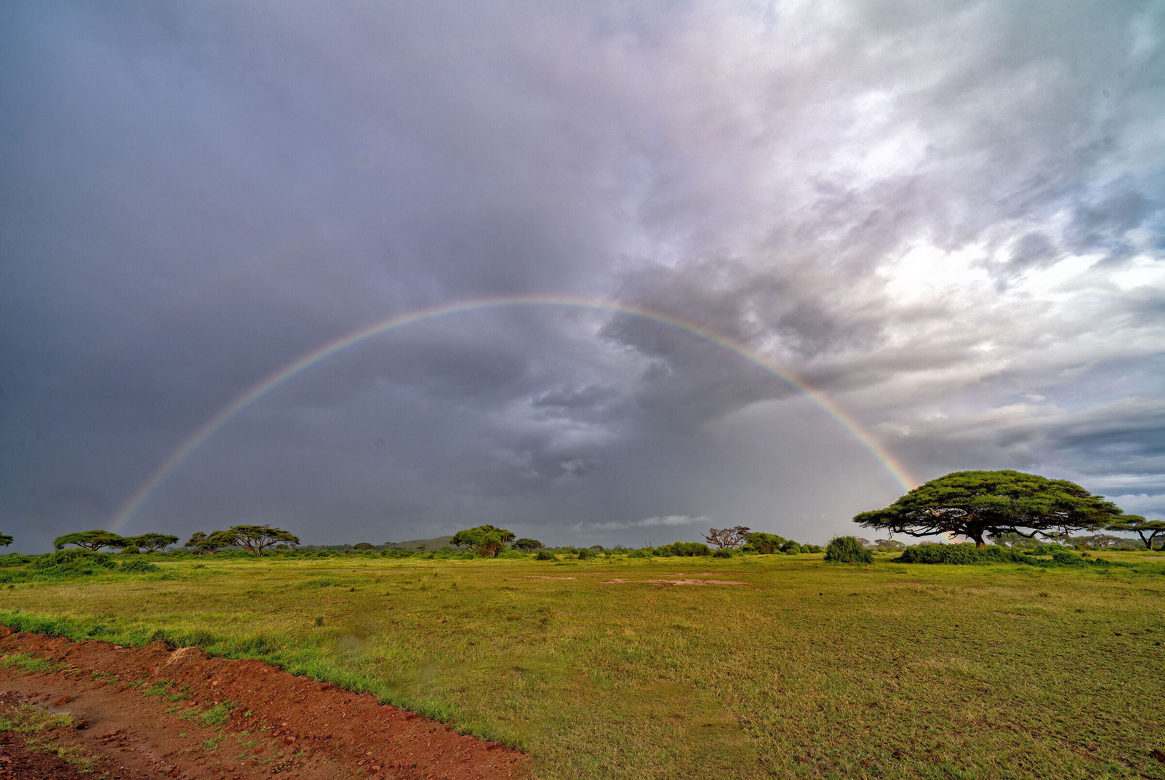 Arcobaleno sull'Amboseli