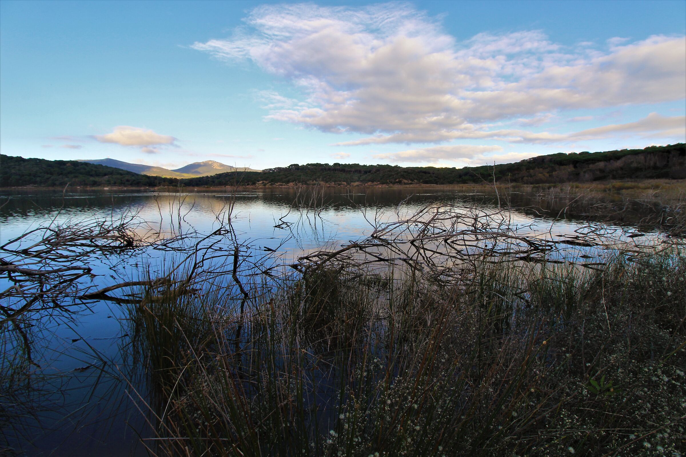 Sulle sponde del lago