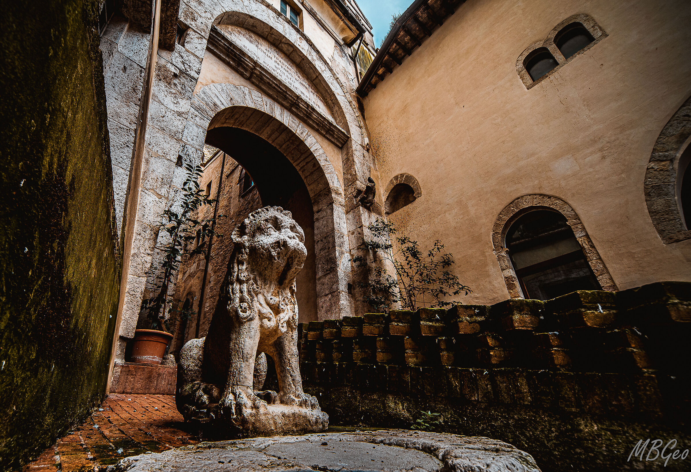 Lion