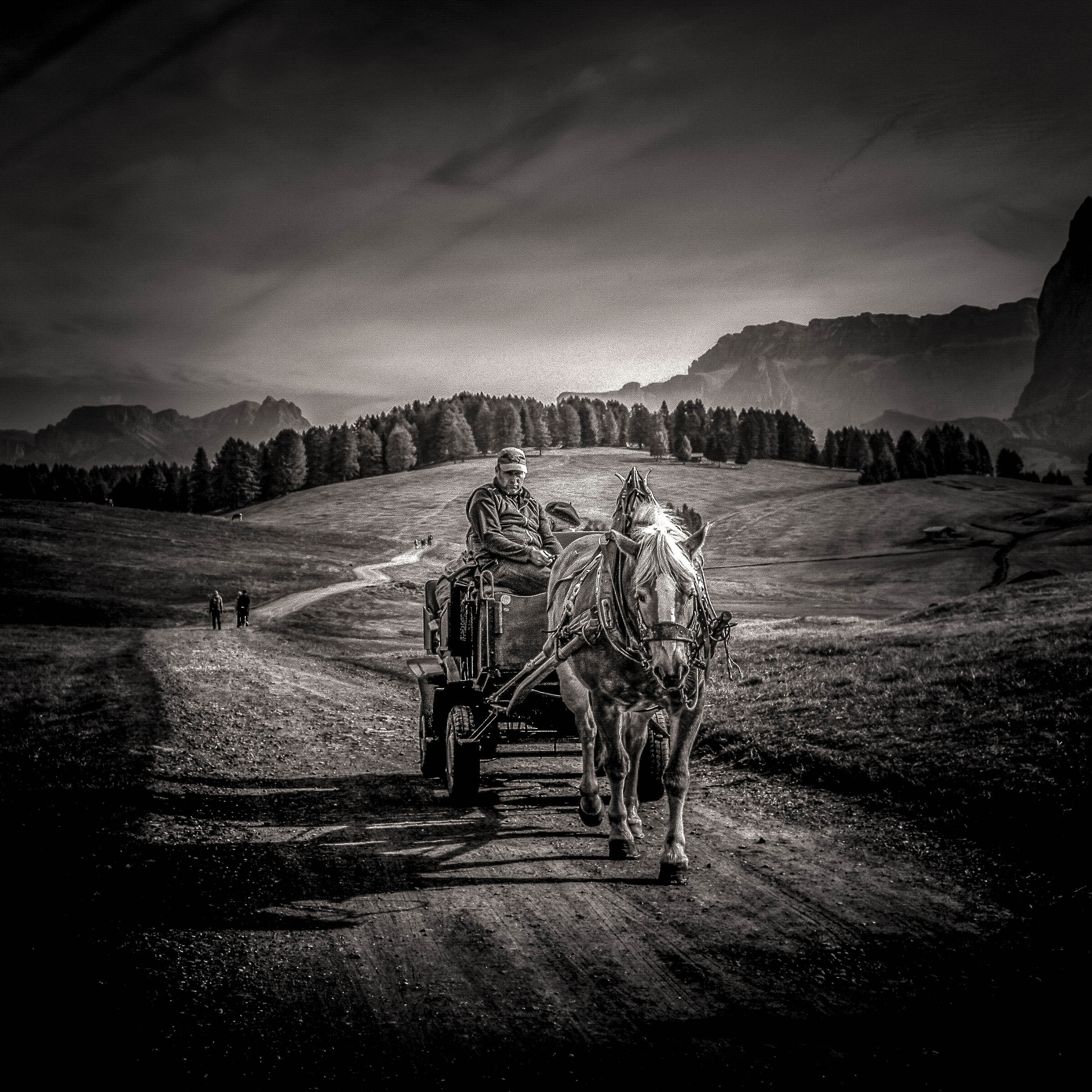 Sustainable rhythms.