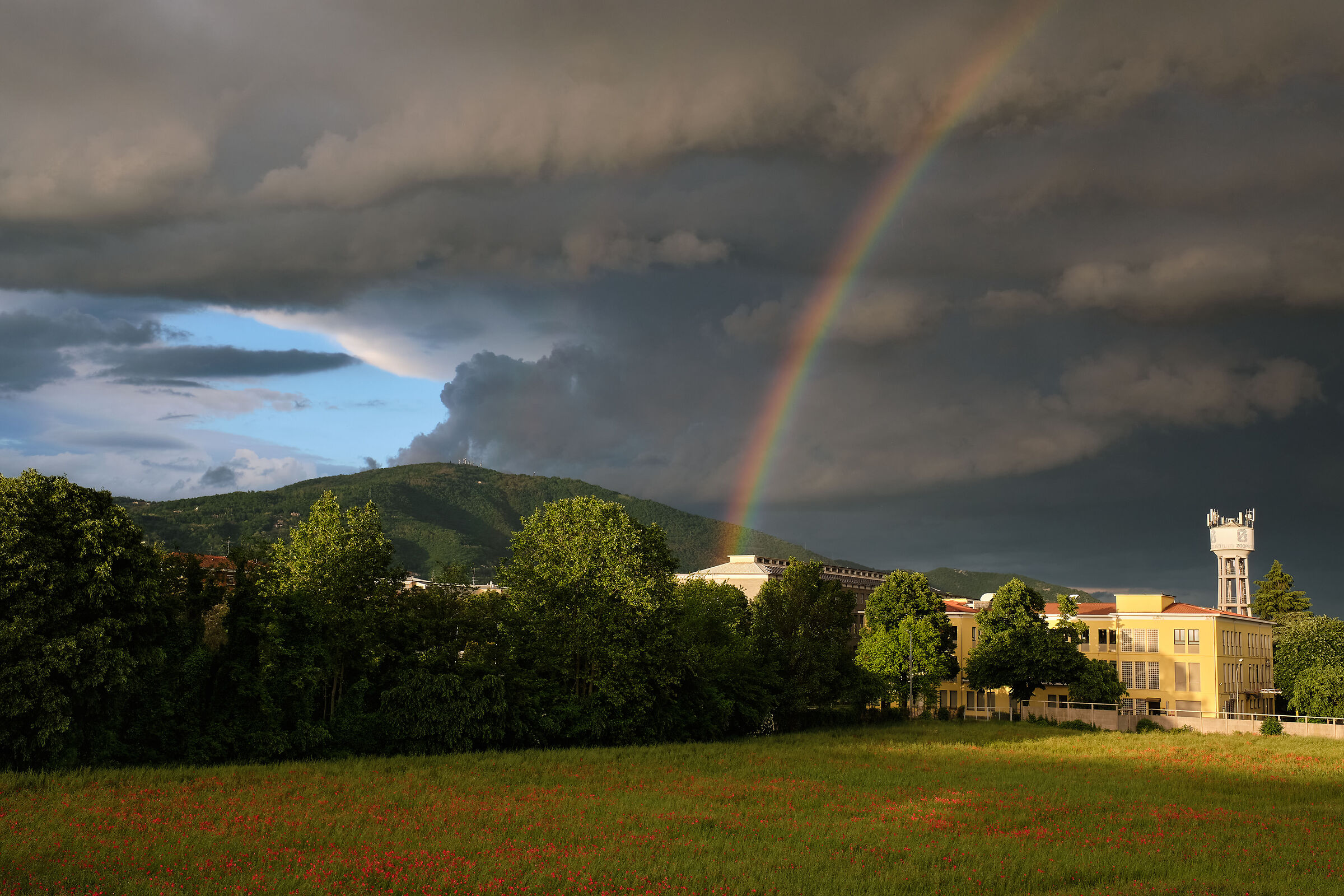 Papaveri, arcobaleni e tempeste