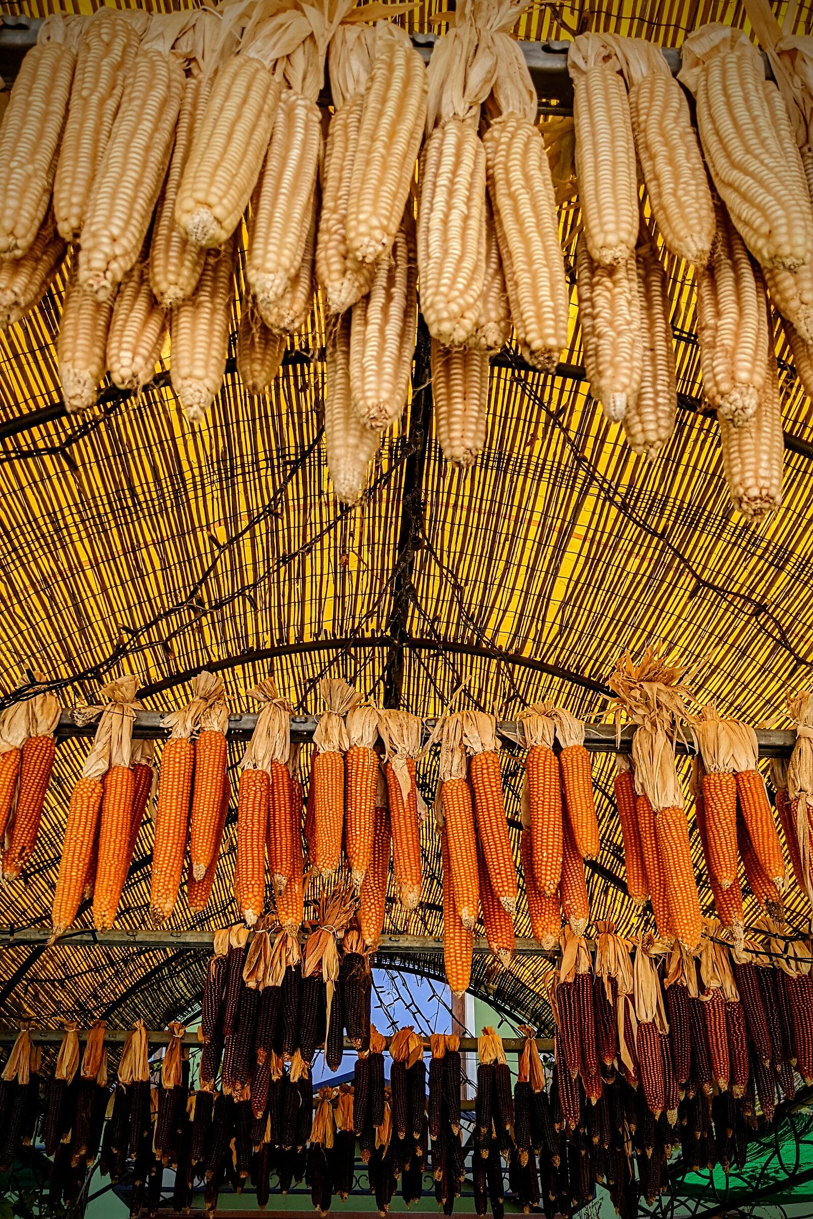 Friuli: presupposti per una buona polenta.