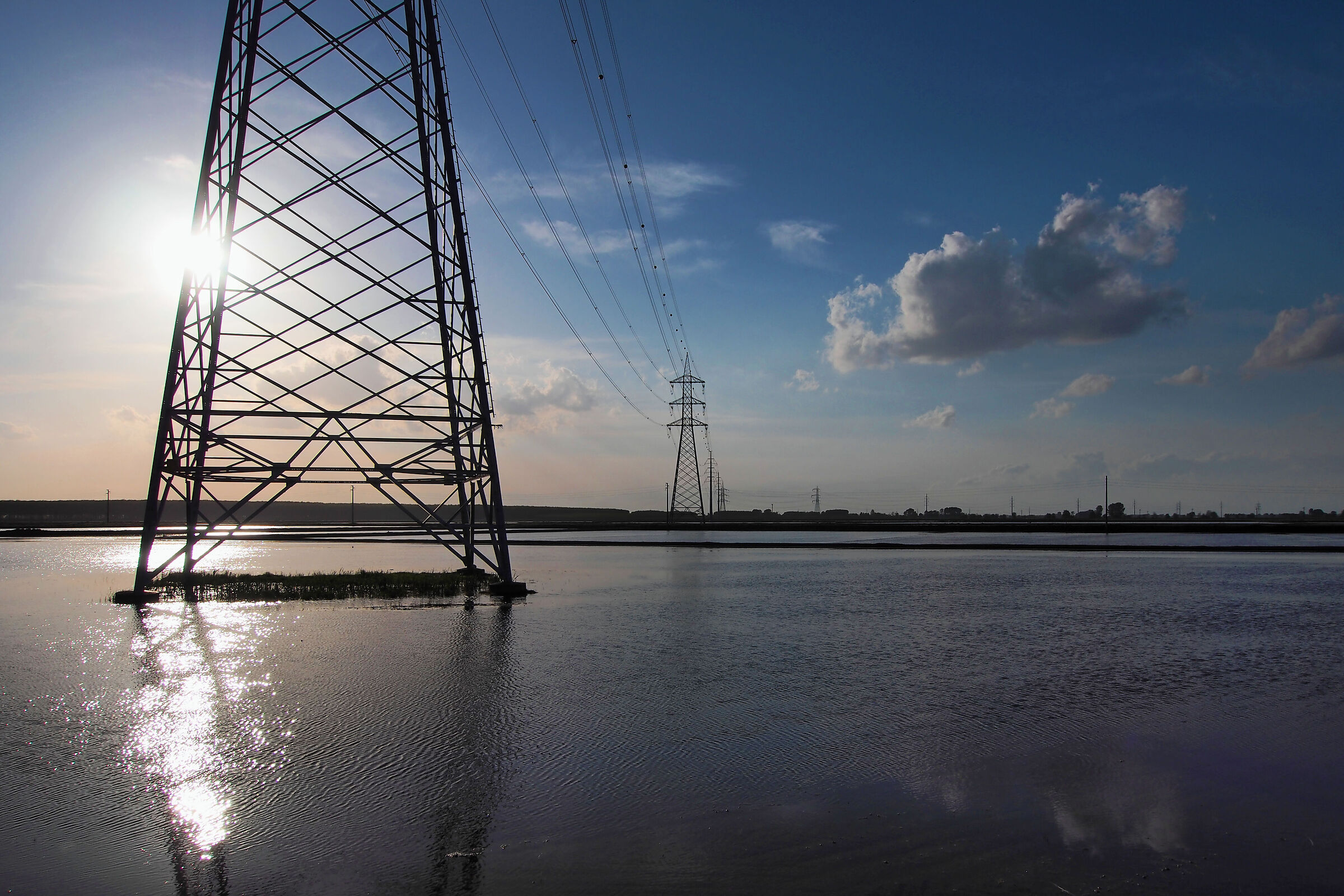 Elettrodotto in risaia