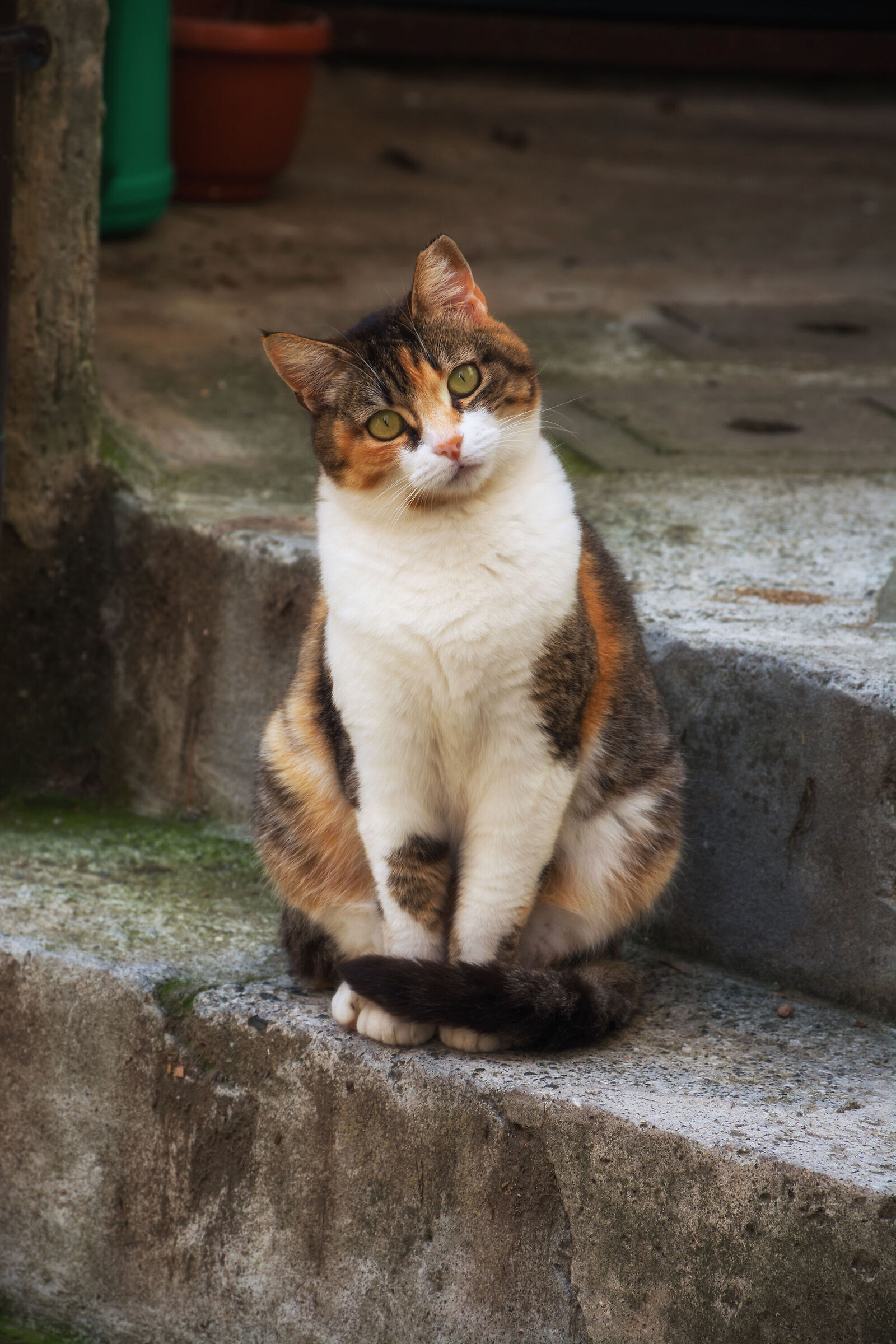 Ma cosa fa questo signore?