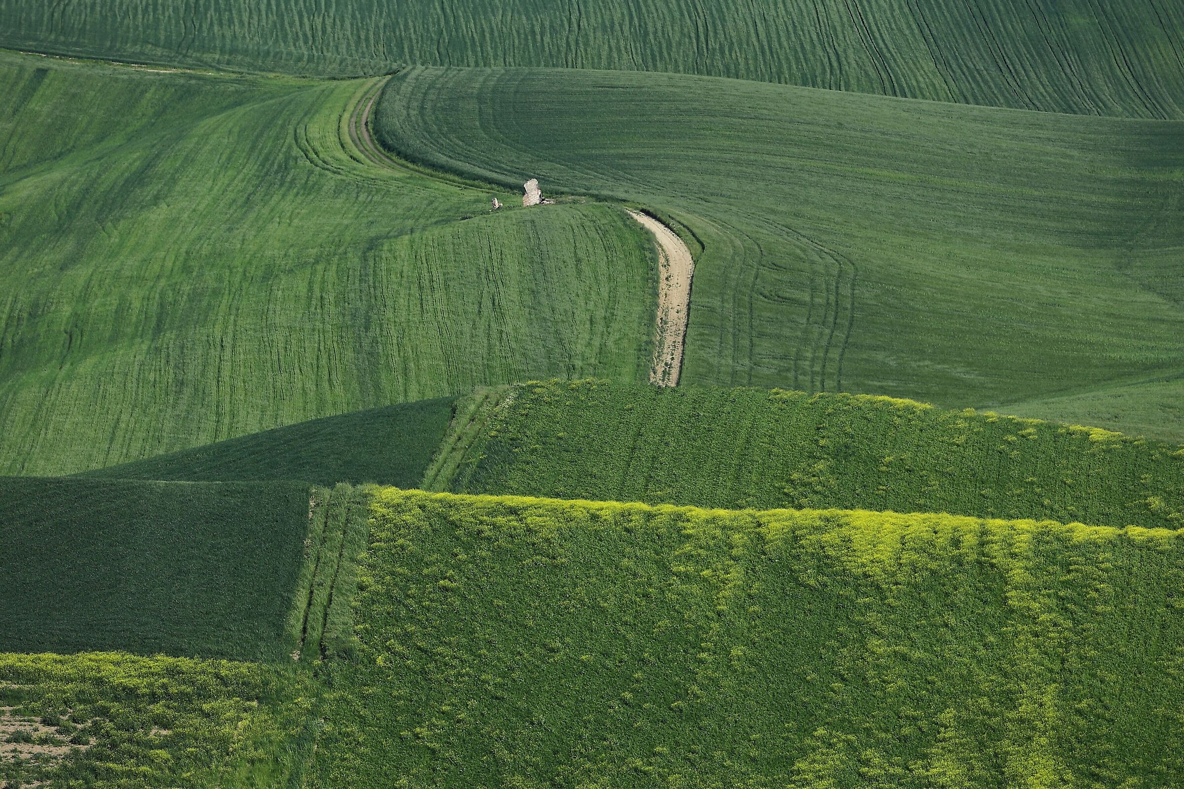I colori della primavera Molisana