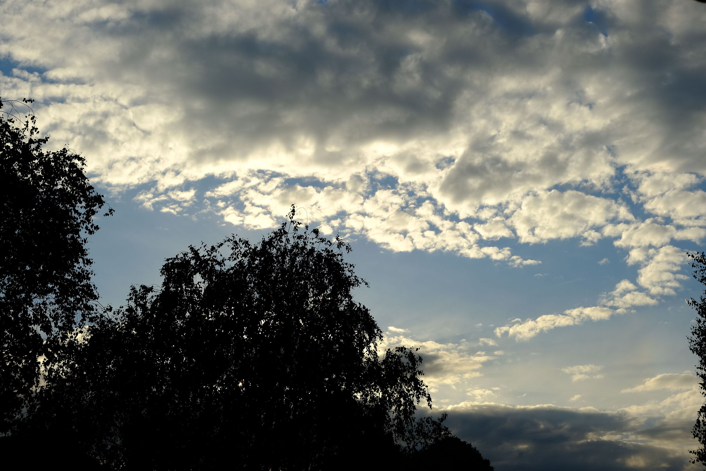 Il genio della lampada 2