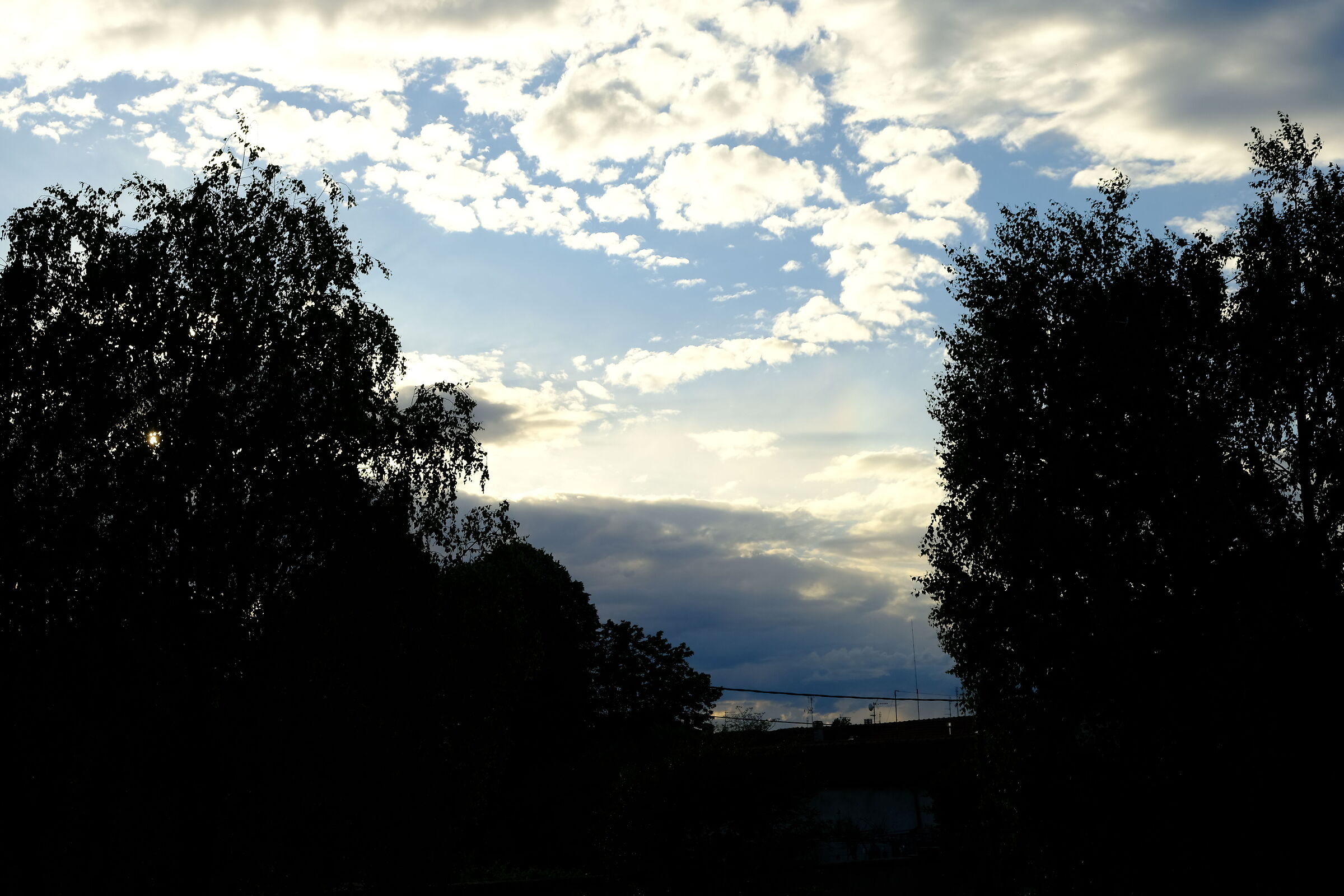 Il genio della lampada 1