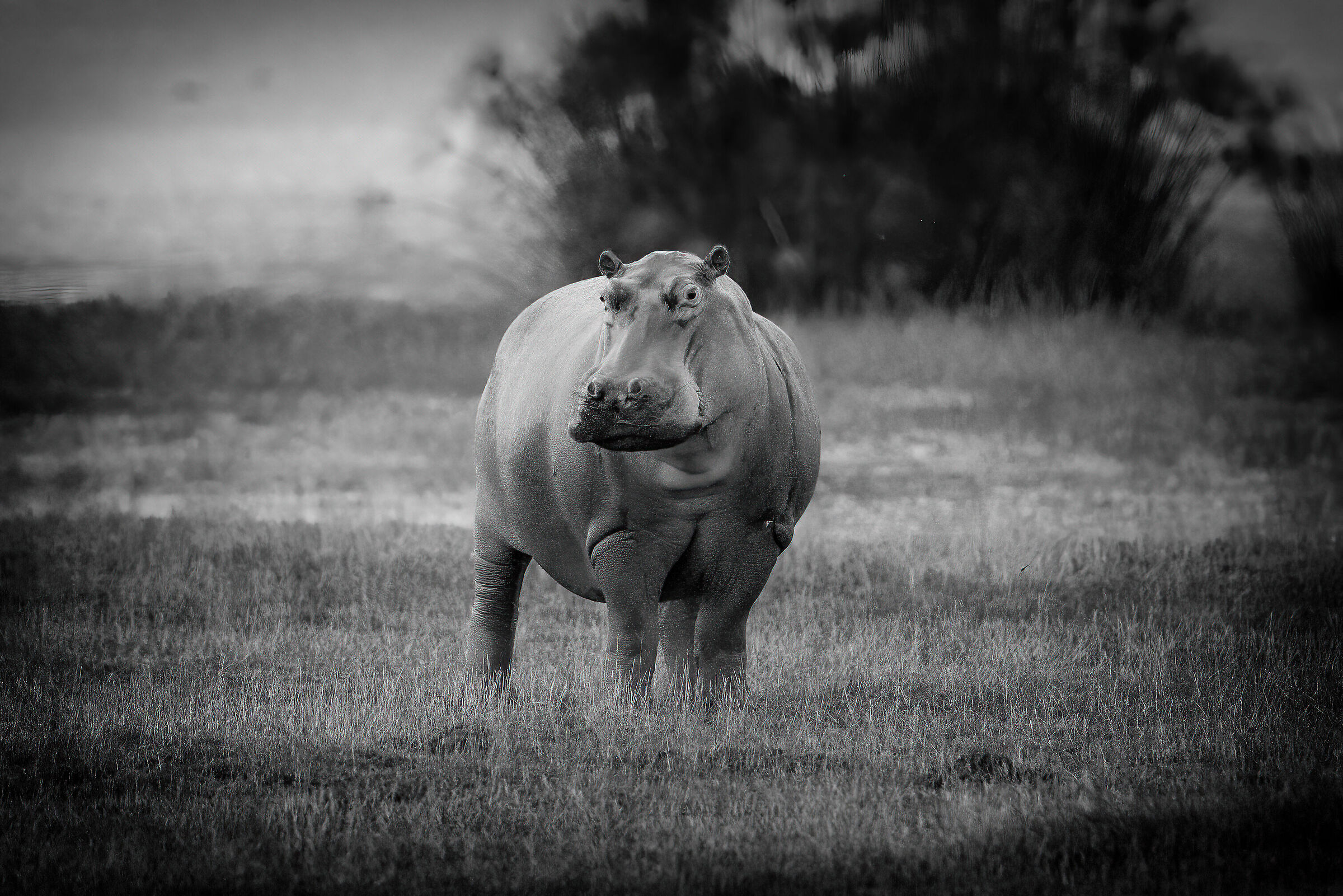 Another kind of beauty