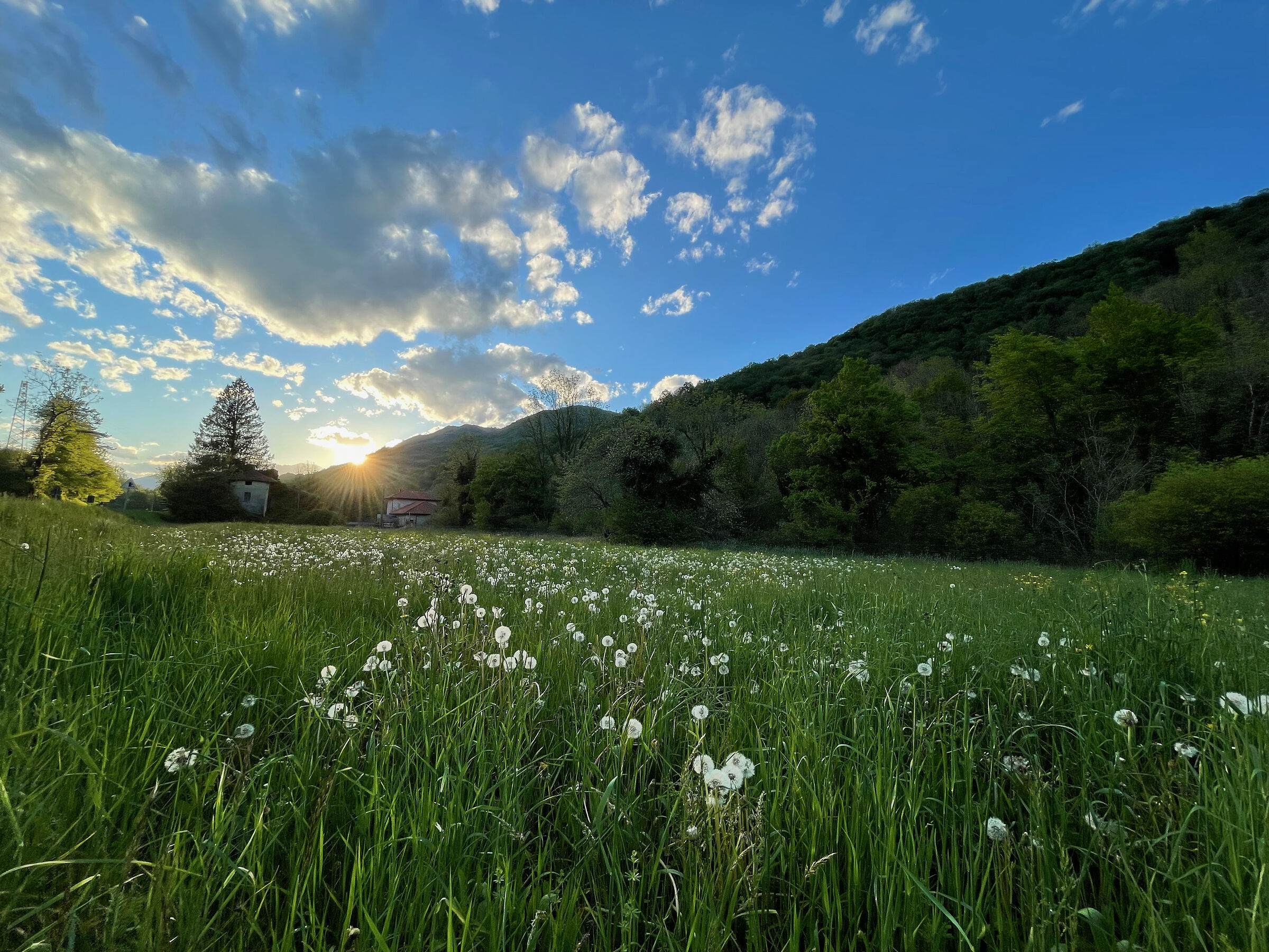 Spring finally arrived