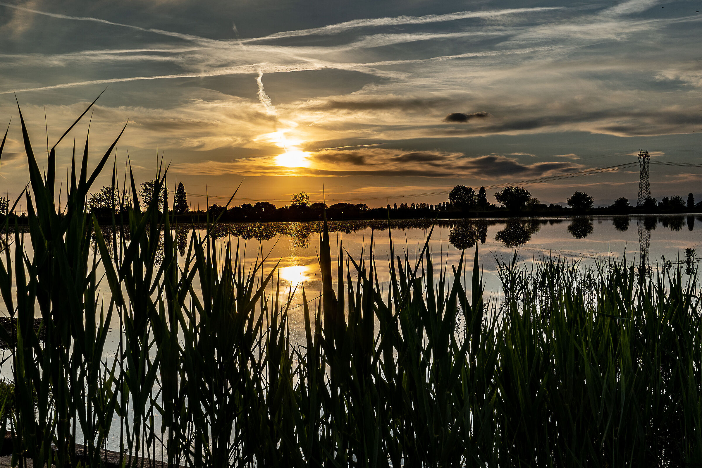 Inizia il tramonto sulla risaia