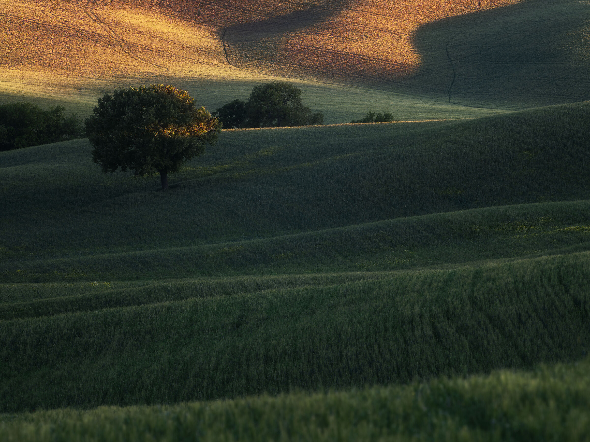 Tuscany