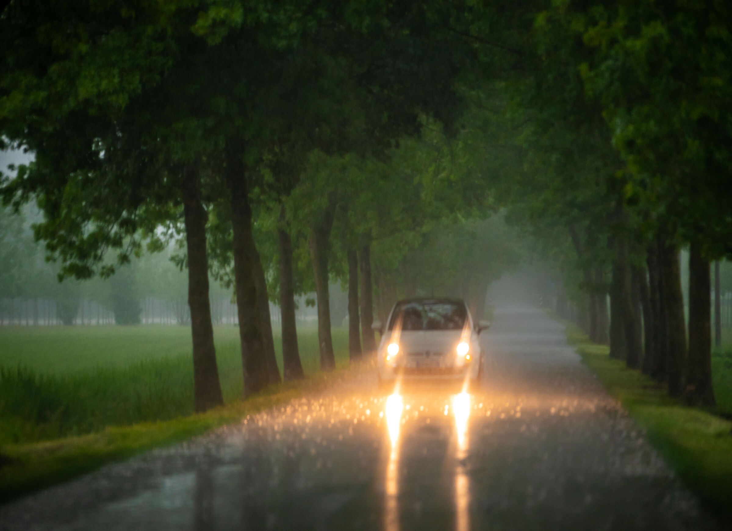 An afternoon of rain