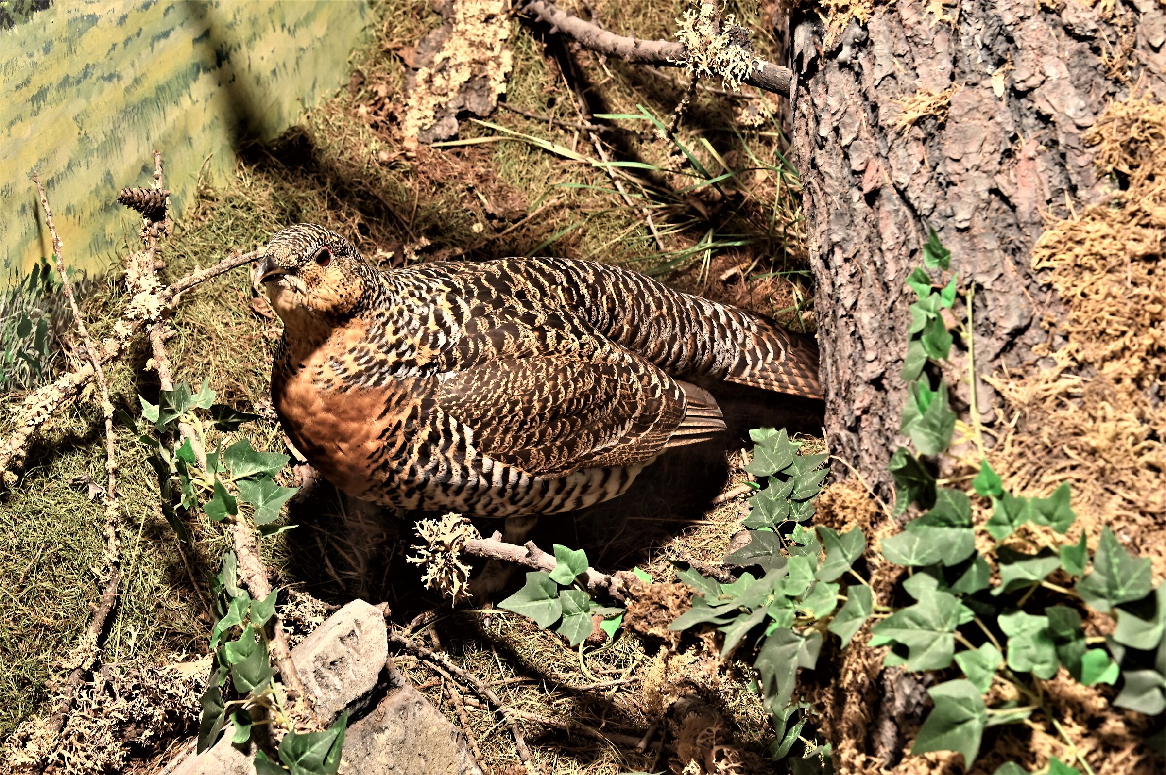 Not everything is" what it seems - 2 -