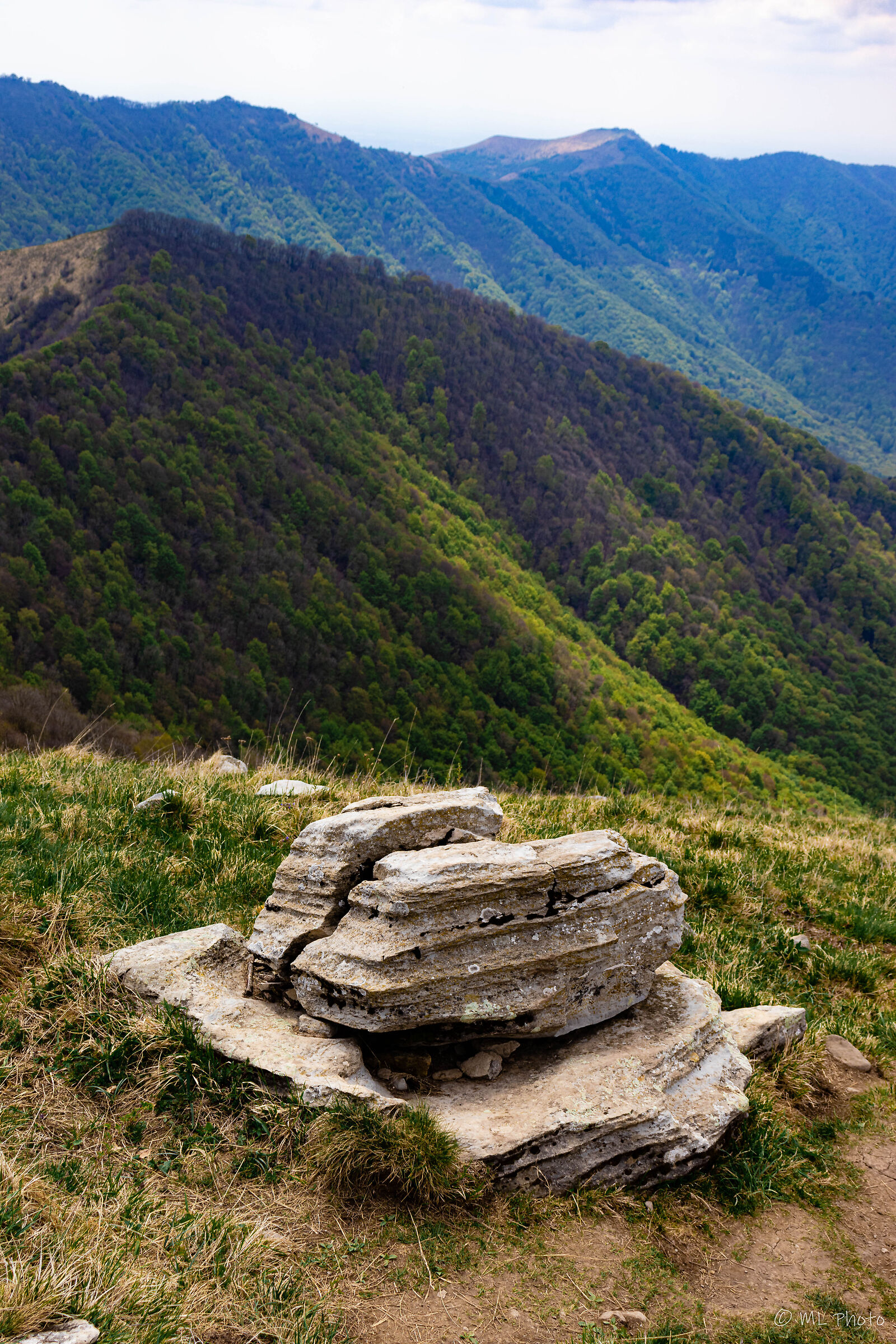 The Stone