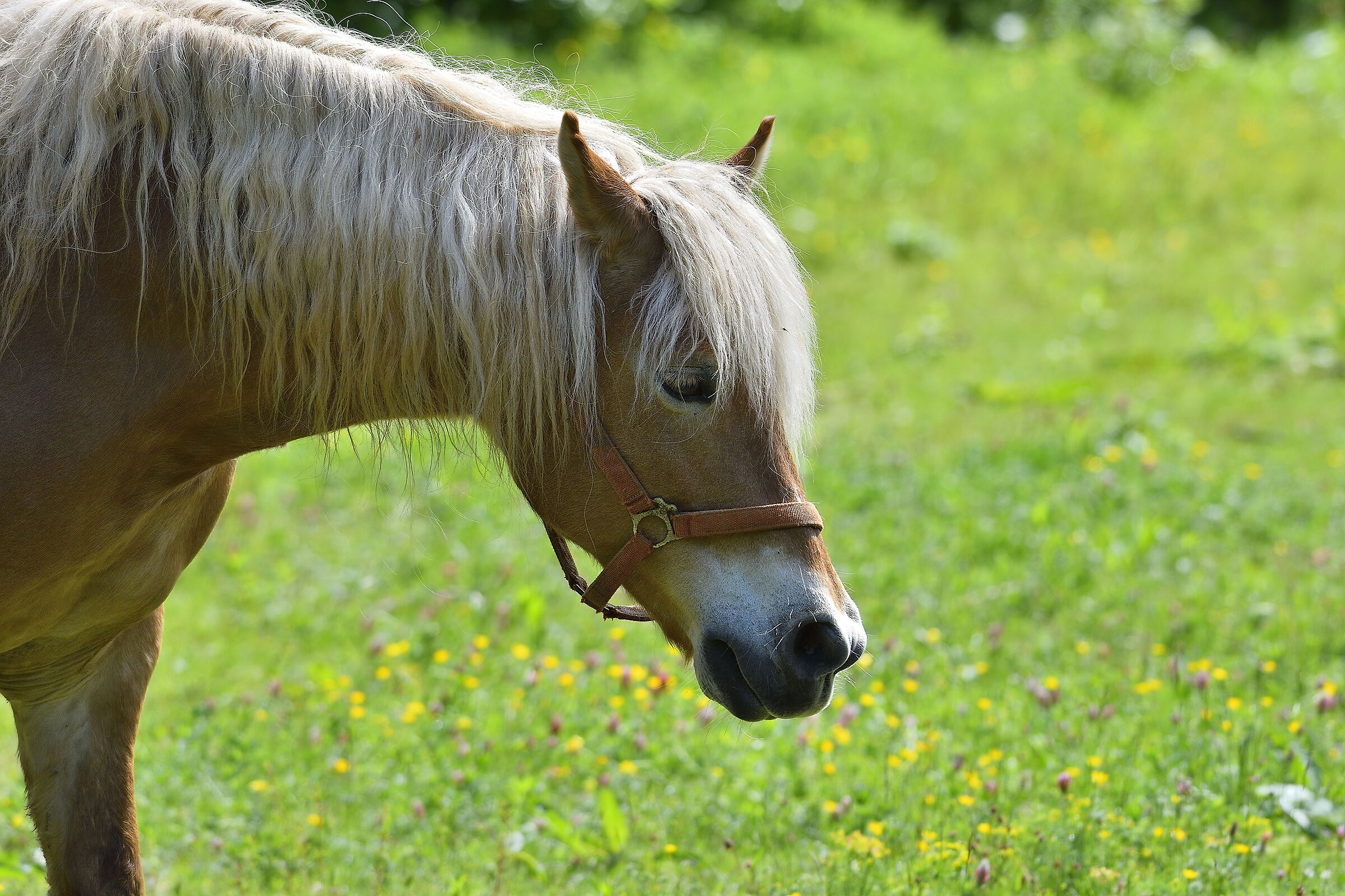 Un'incontro piacevole