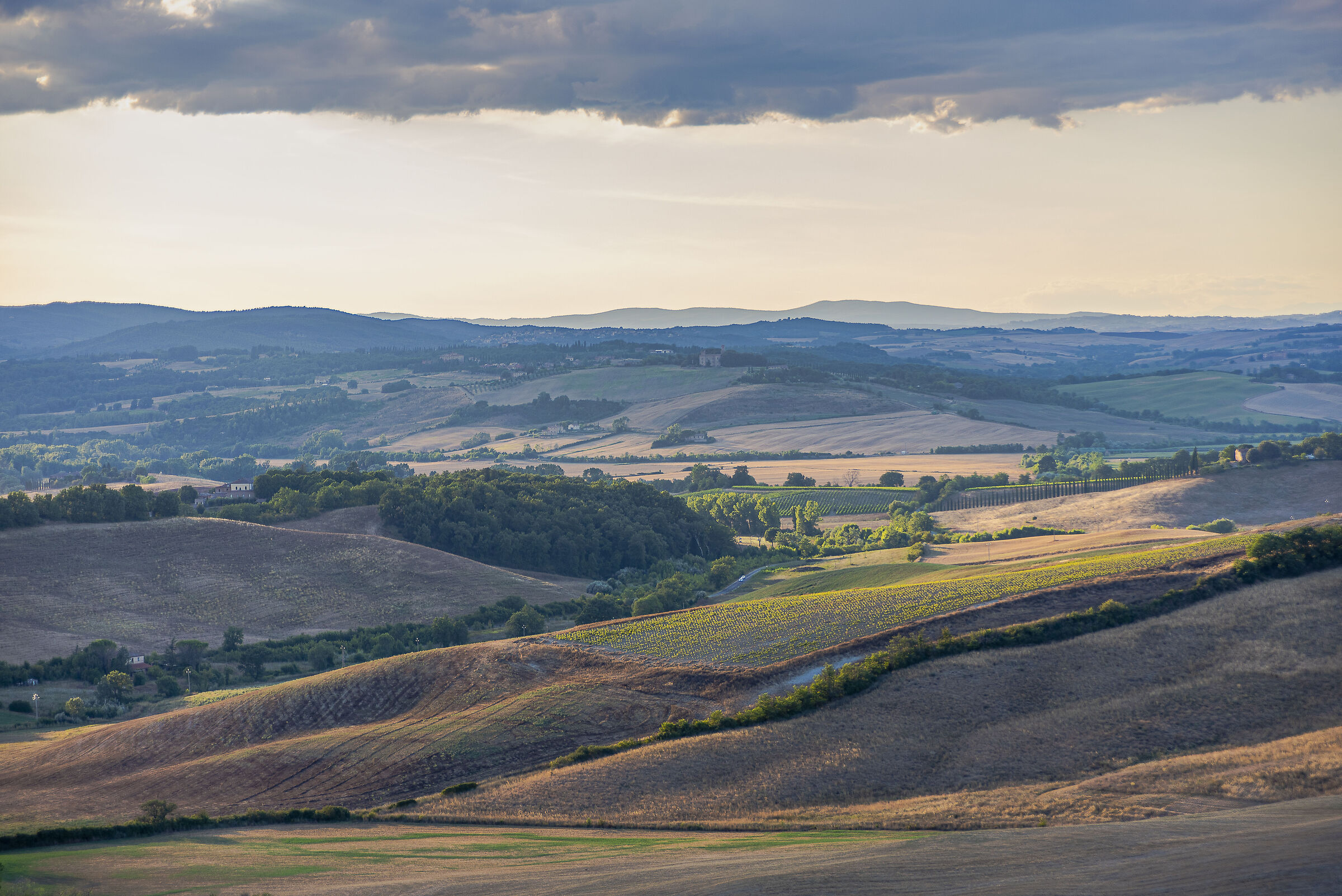 Dintorni di Montalcino