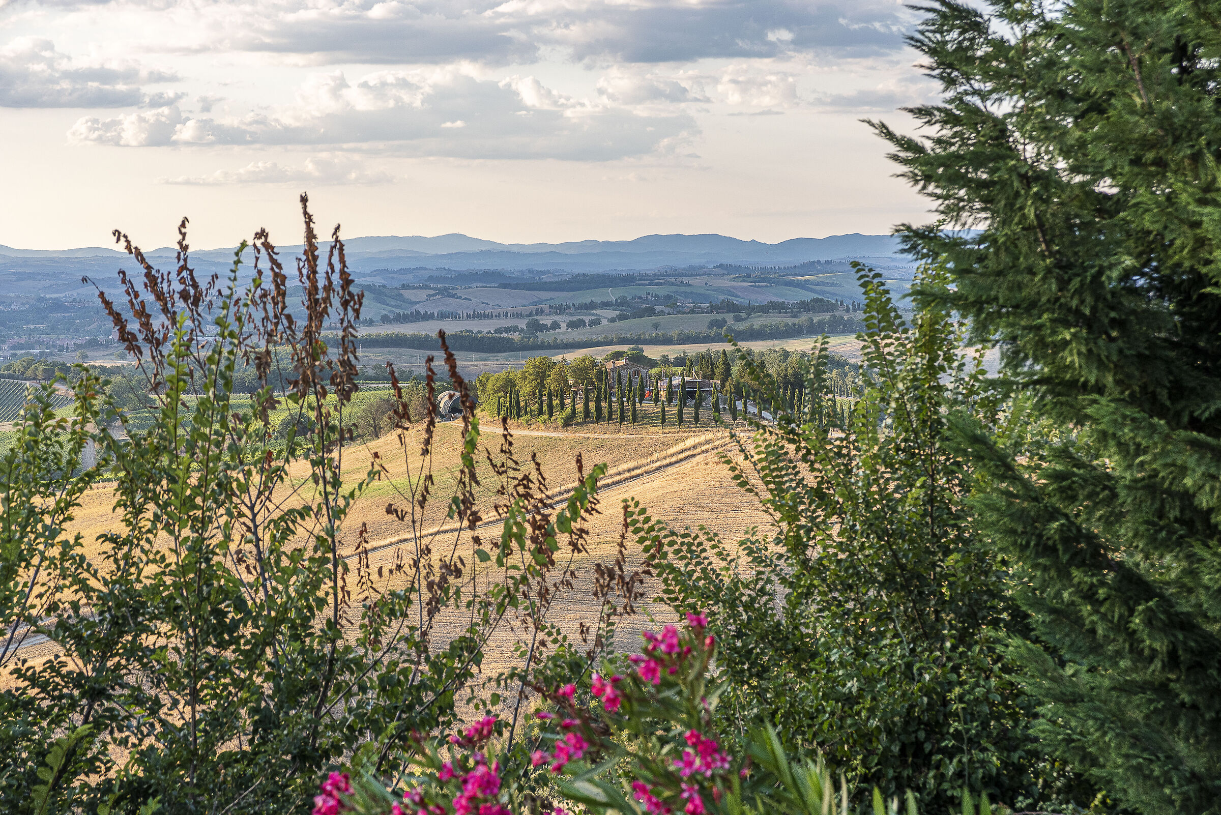 Around Montalcino