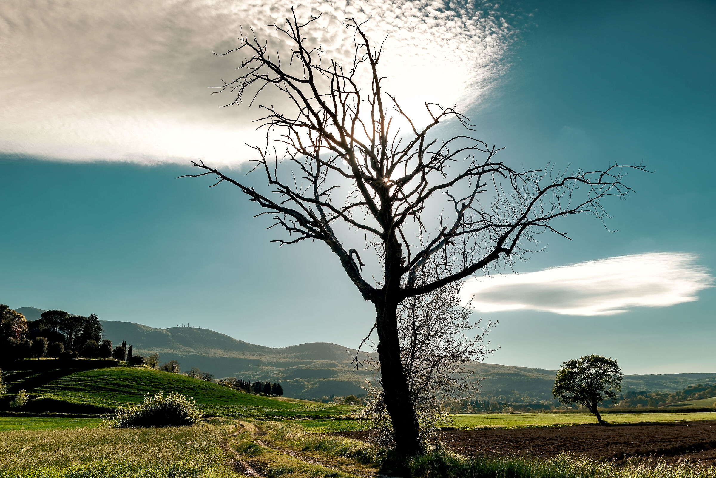 campagna umbra valdichiana bassa