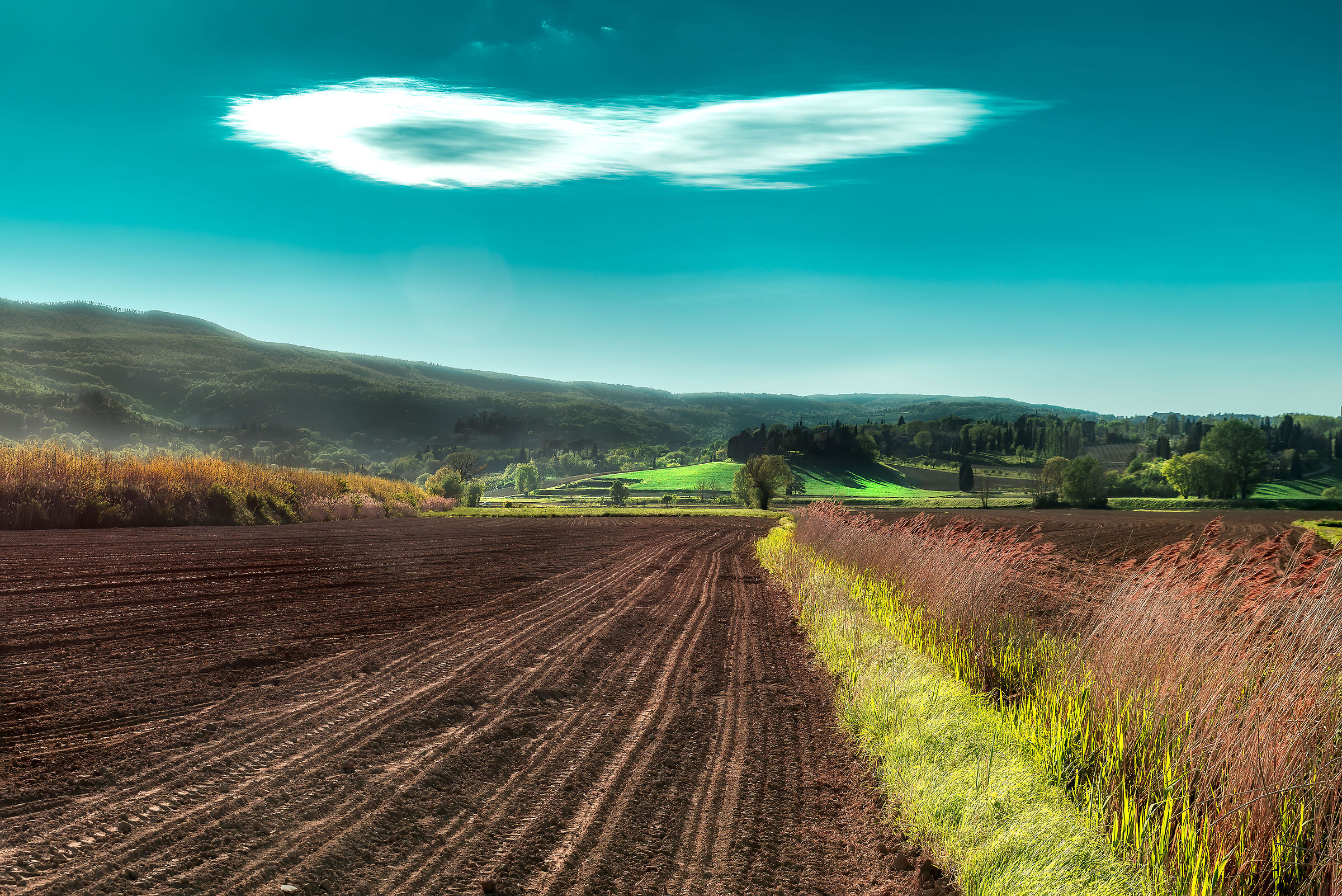 un fumetto o l'infinito?