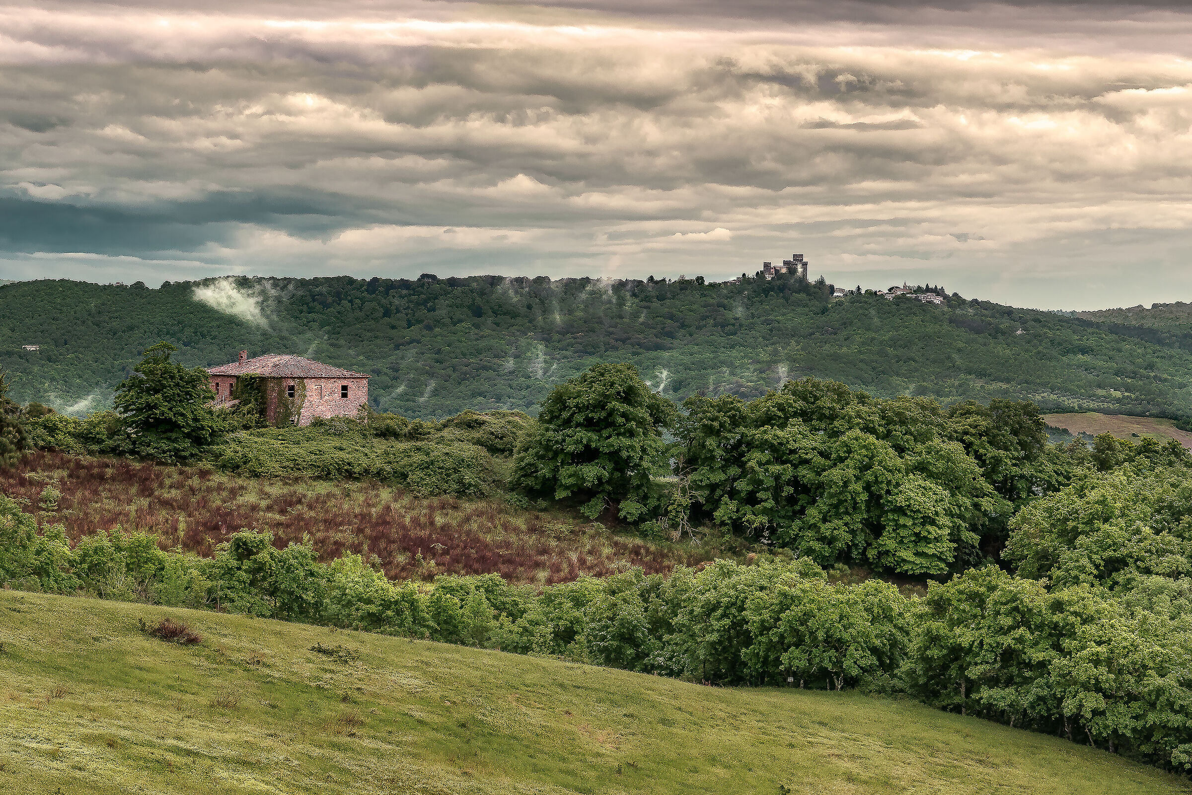 selva meana , sullo sfondo torre alfina(vt)