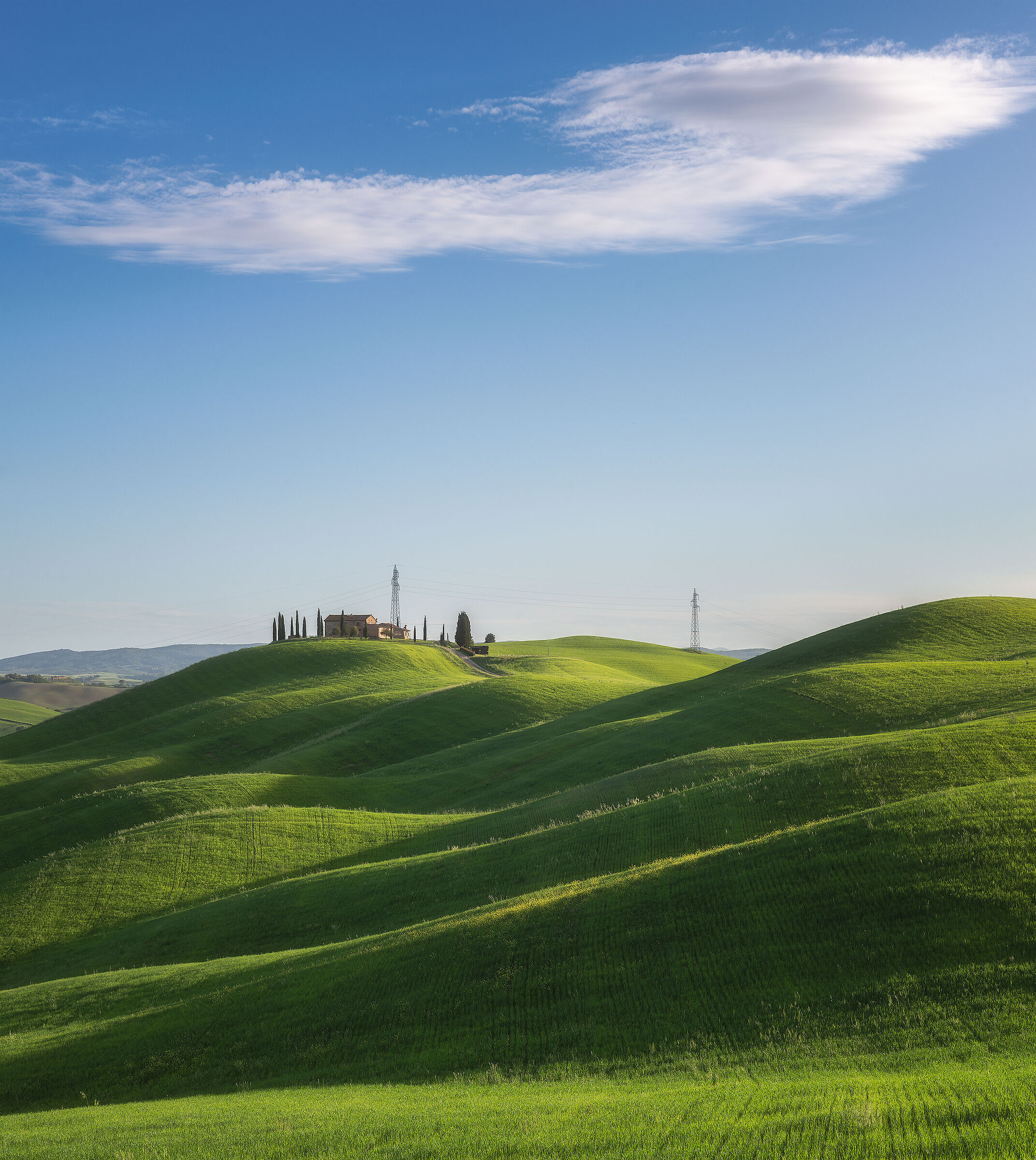 Curve Senesi