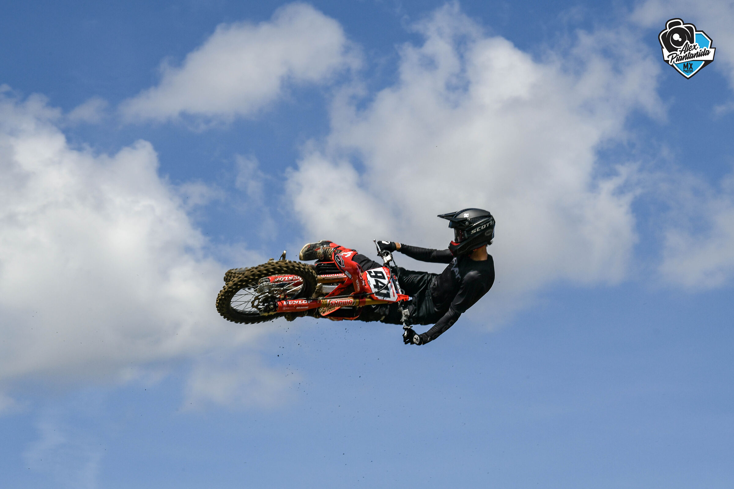 Angelo Pellegrini #941