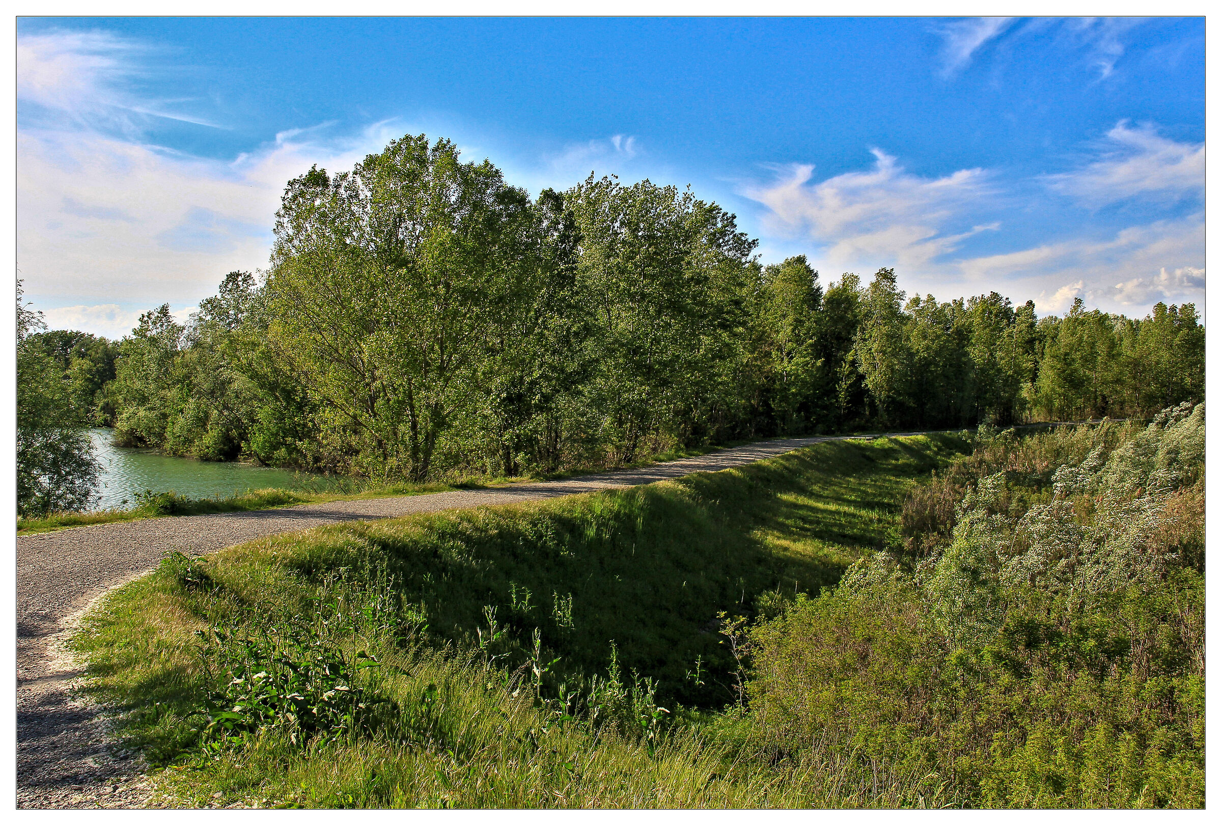 Passeggiando al Parco Enza dalle mie parti