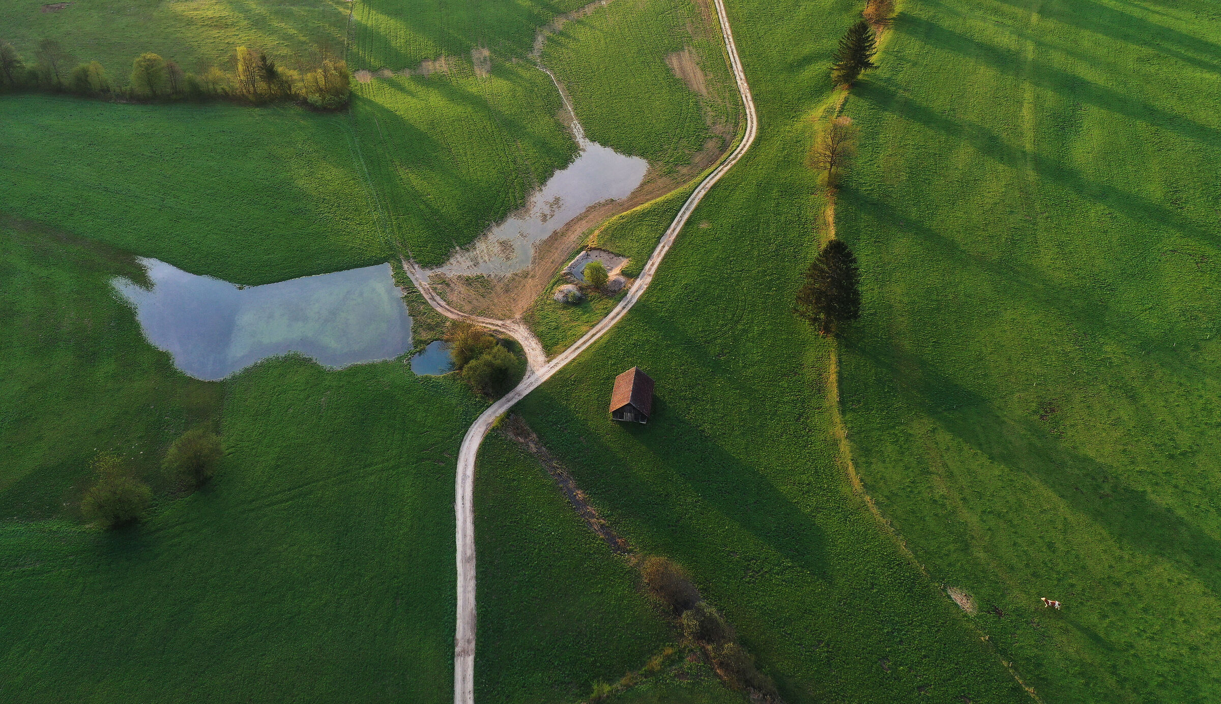 Sorvolare la campagna