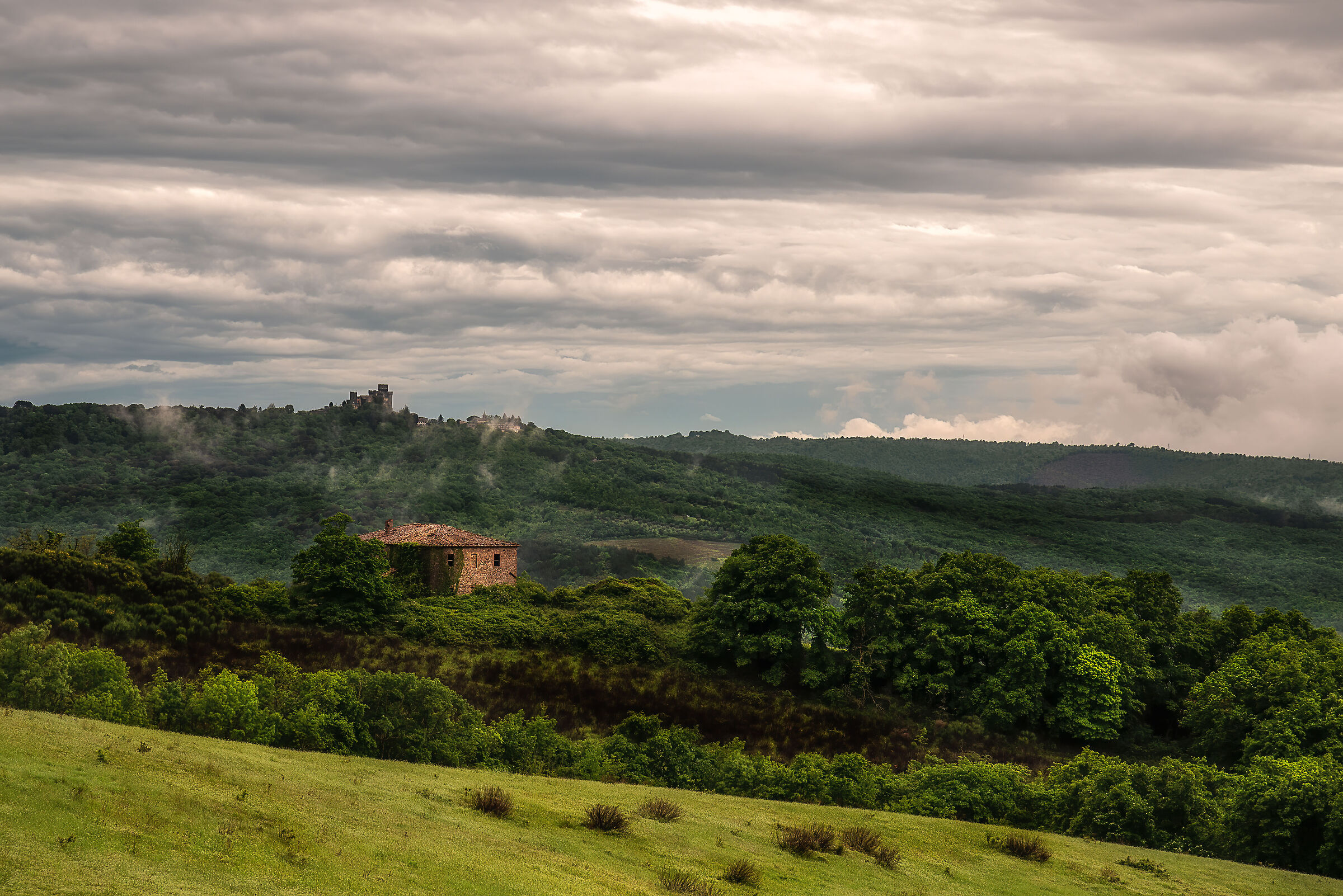 selva meana sullo sfondo torre alfina(vt)2