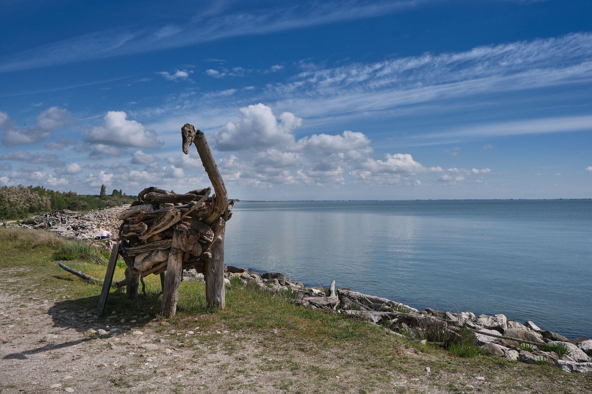 Il Dinosauro della pineta di Volano