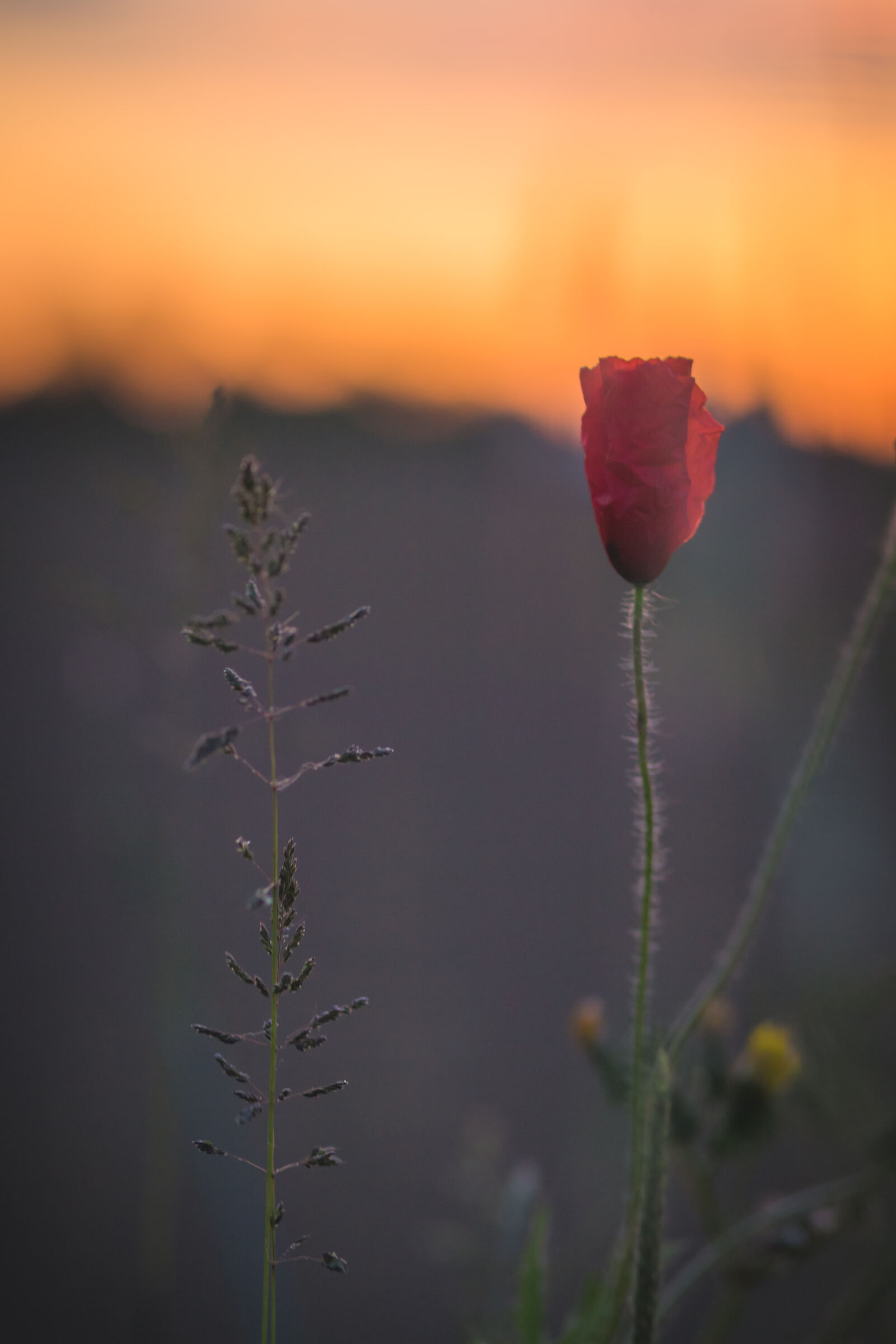 Close and unattainable