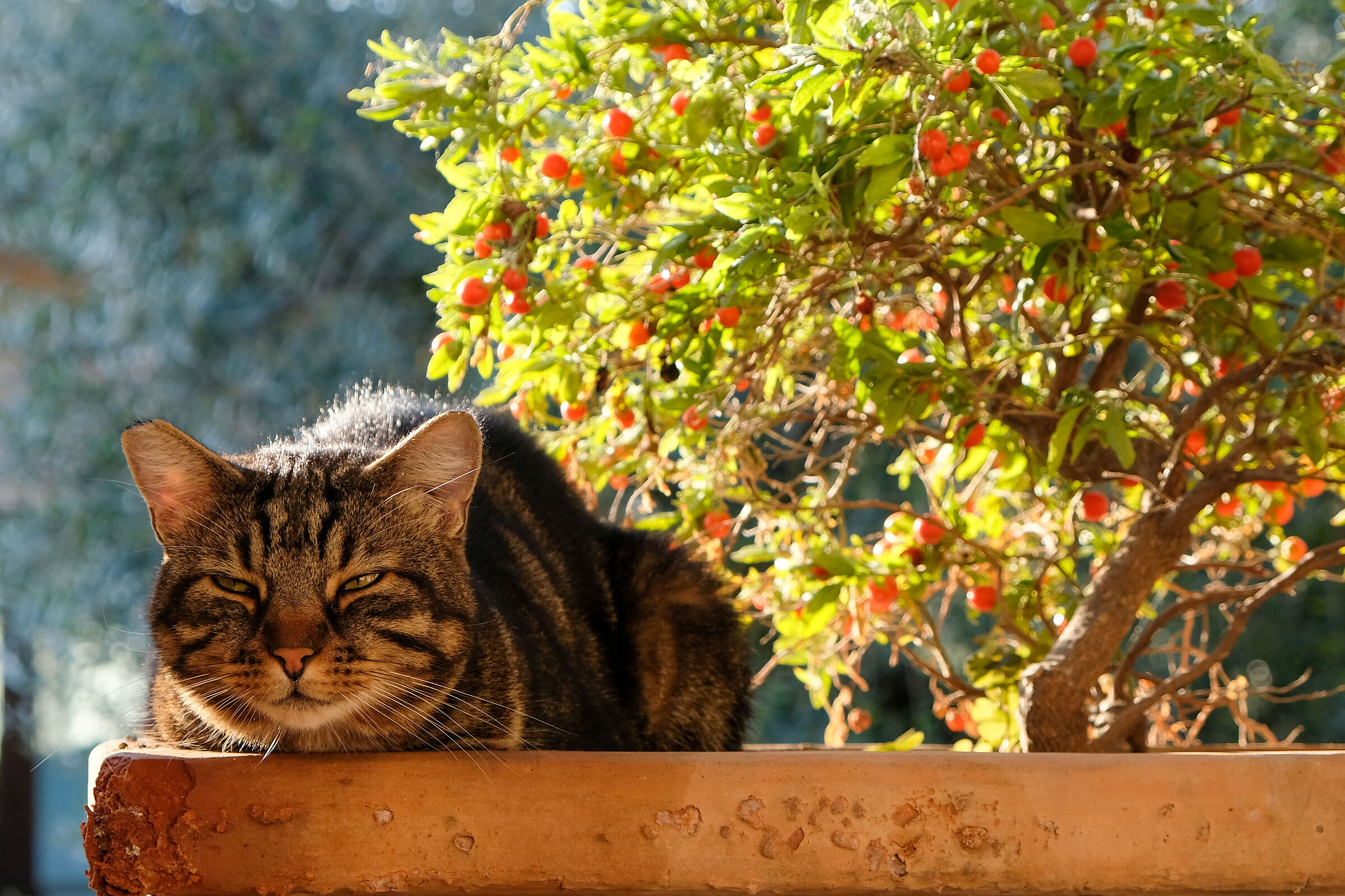 Un ricordo di un viaggio in Umbria