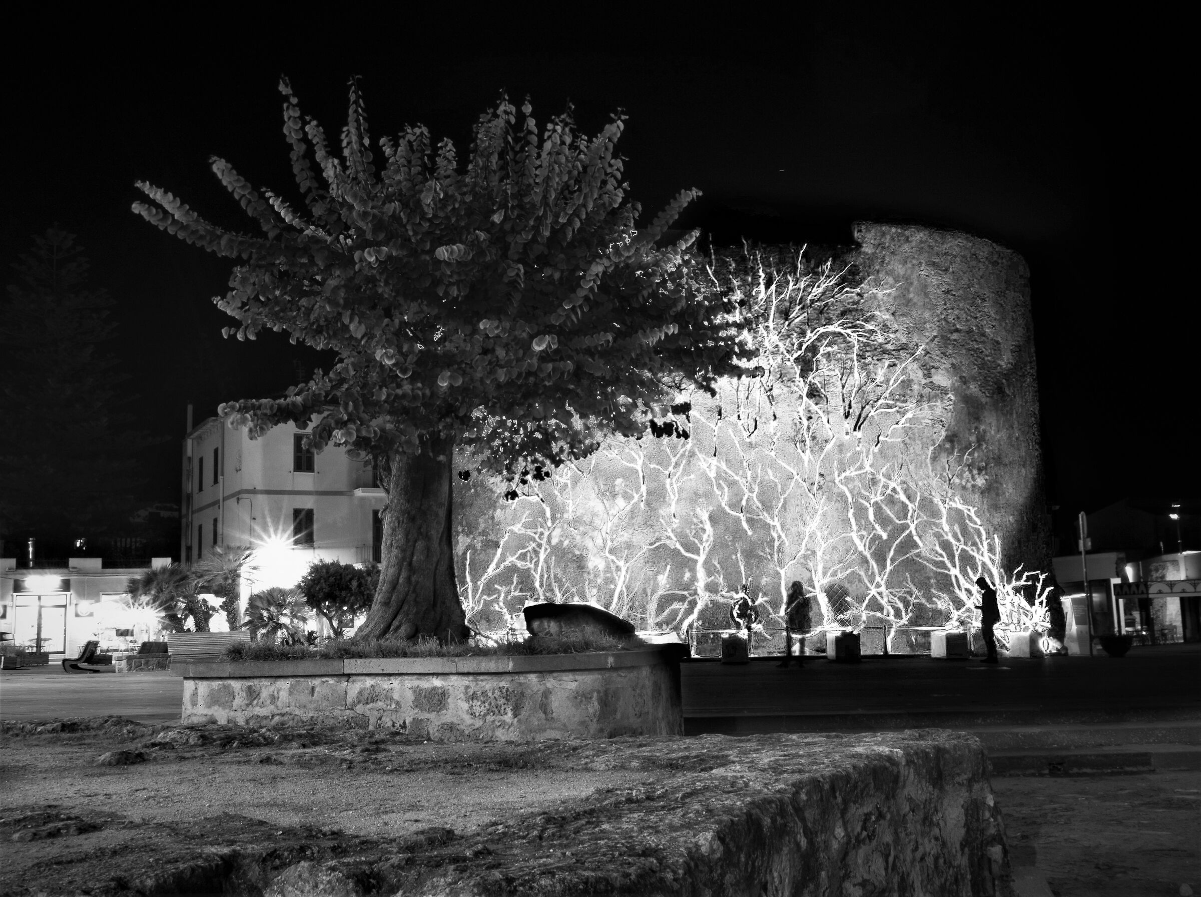 Alghero torre di san giovanni coralli di luce B&N