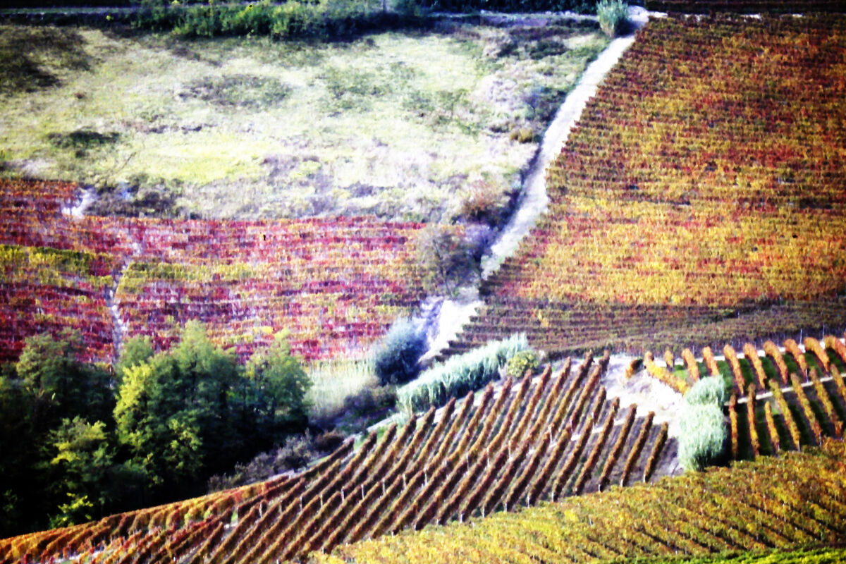 Panorama on film 1a