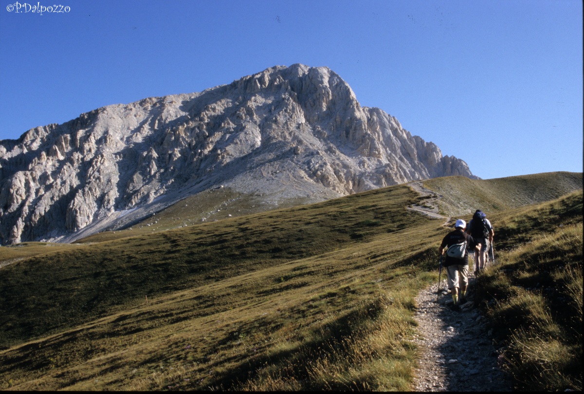 Firm step to the goal