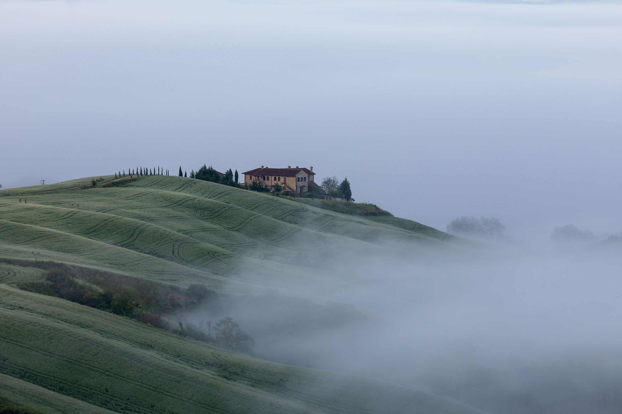 The Crete Senesi